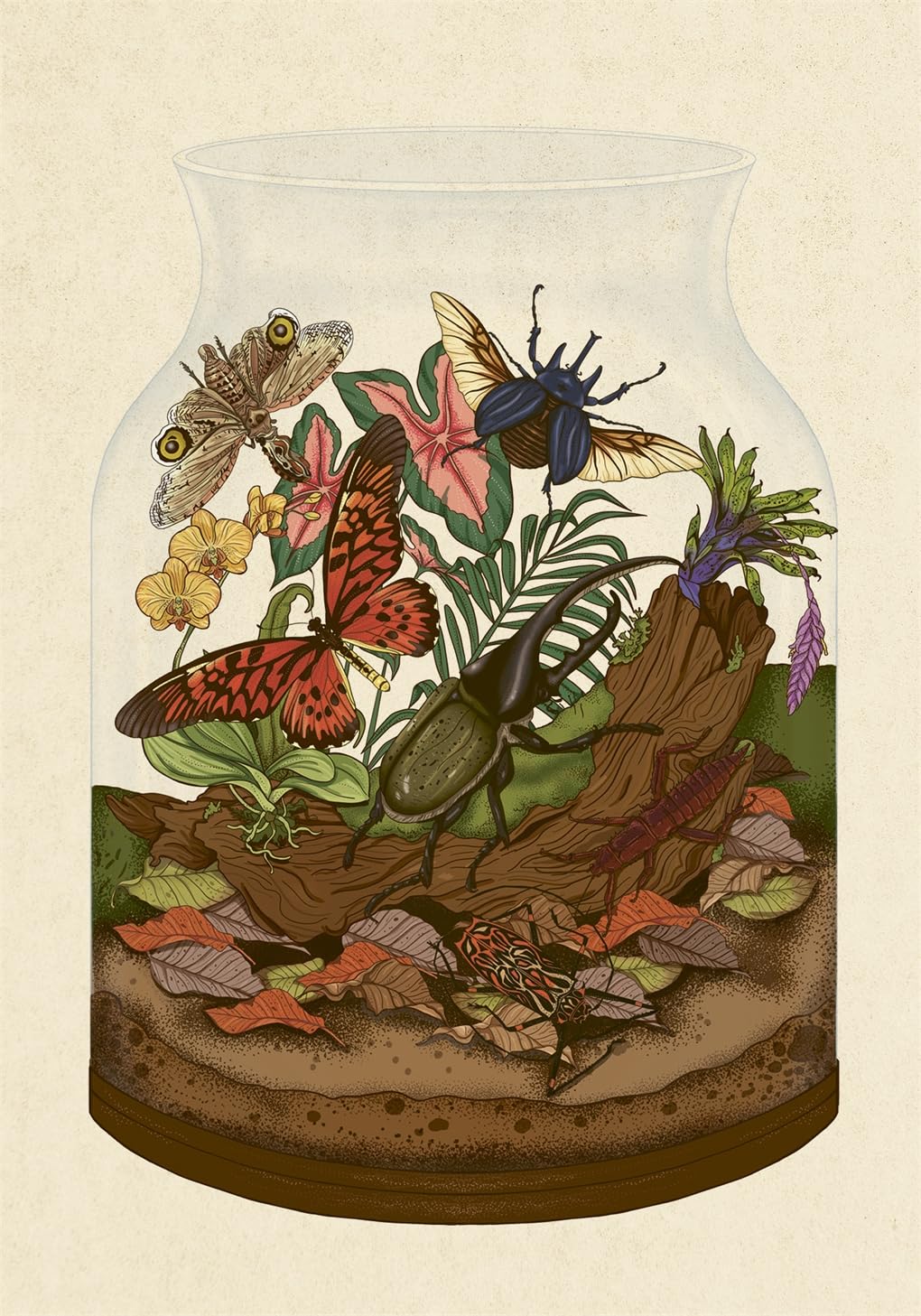 'Insectarium Post Cards' by Emily Carter