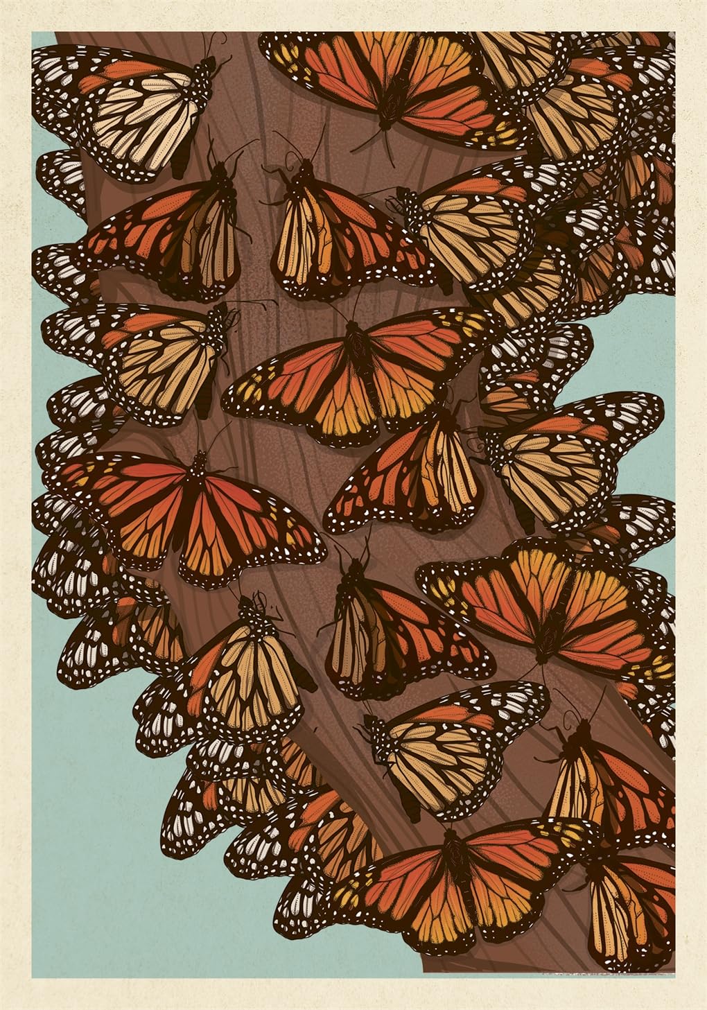 'Insectarium Post Cards' by Emily Carter