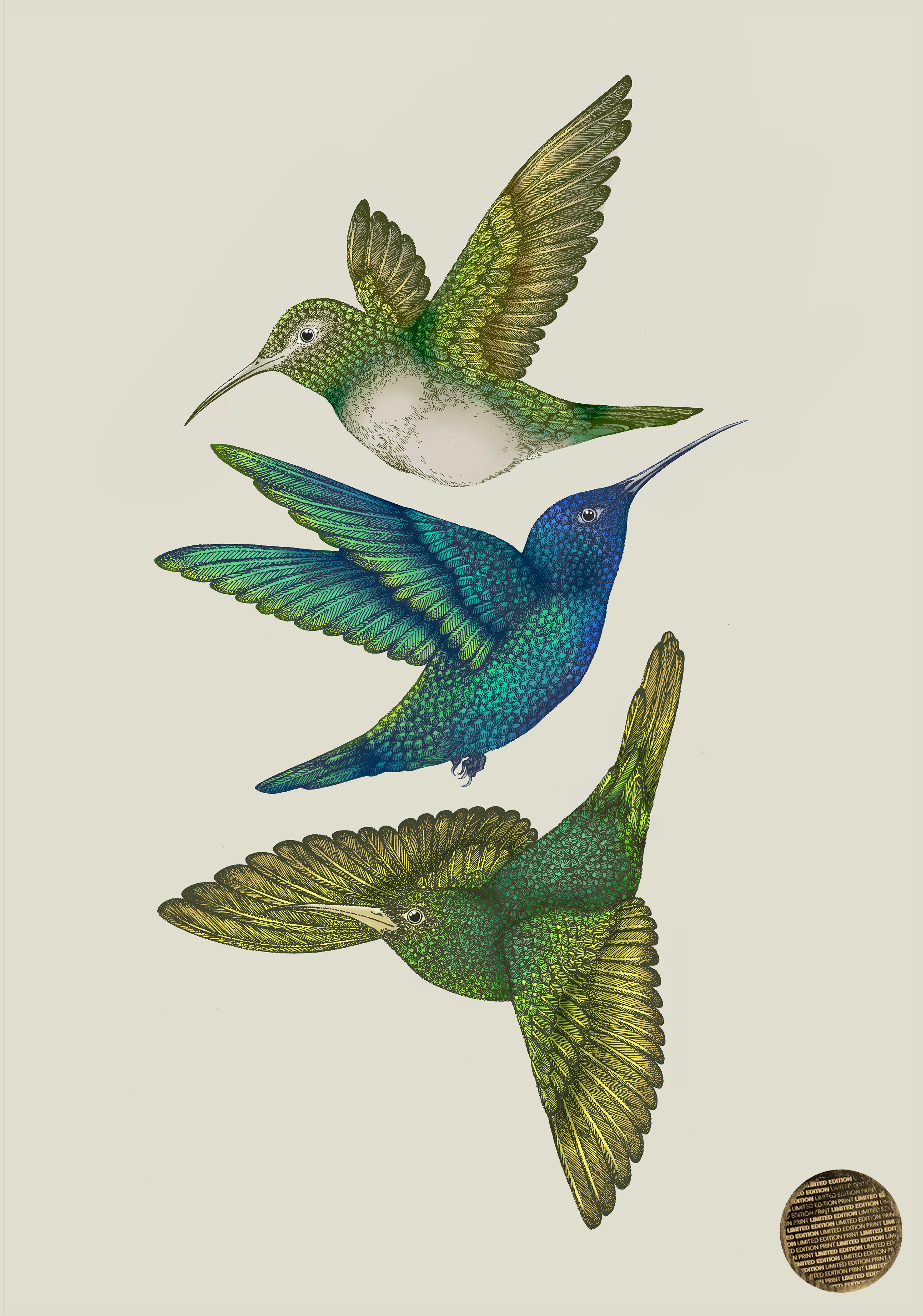 Antique Hummingbirds III Cream' Giclée Print A2 - Limited Edition