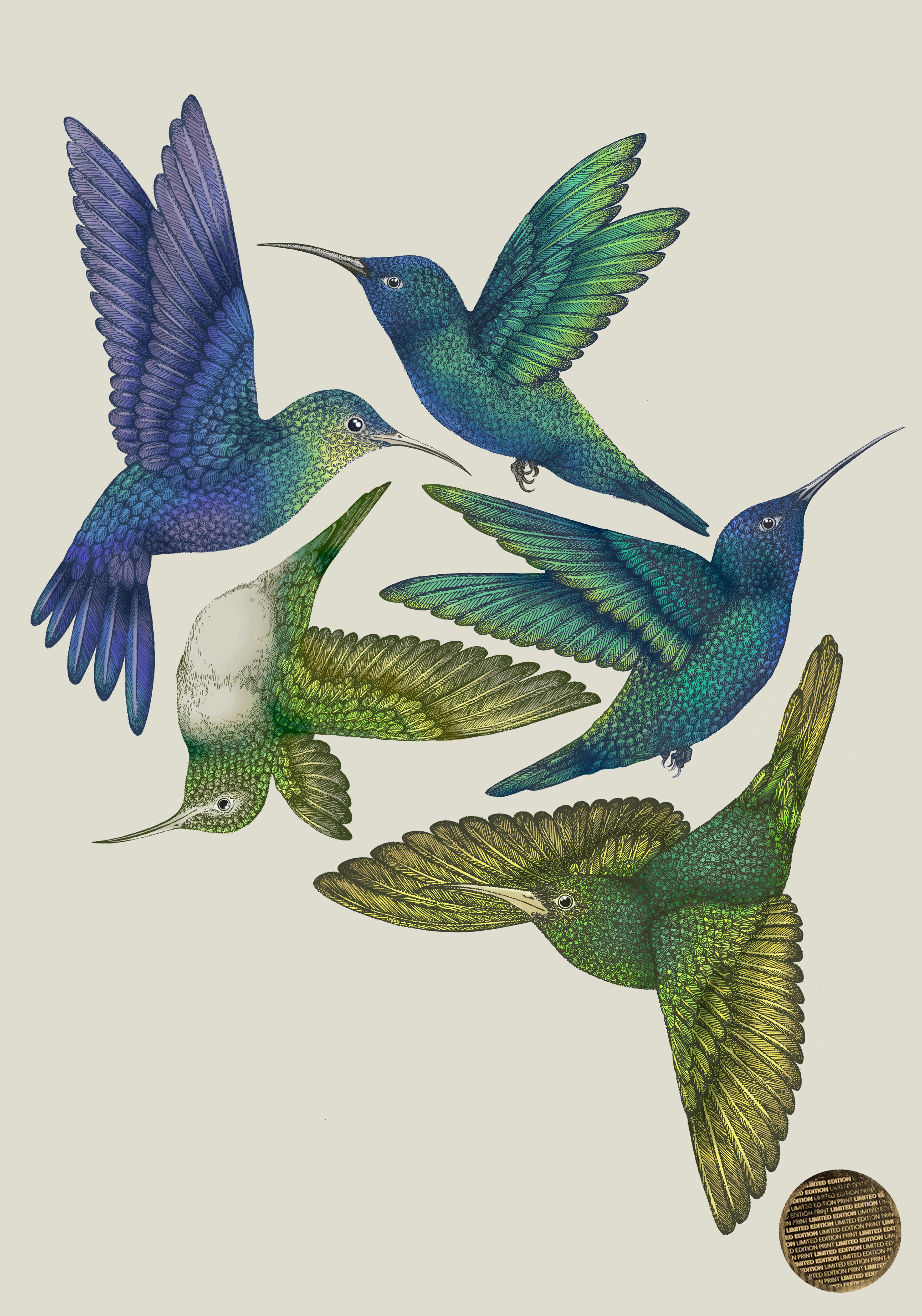 Antique Hummingbirds I Cream' Giclée Print A2 - Limited Edition