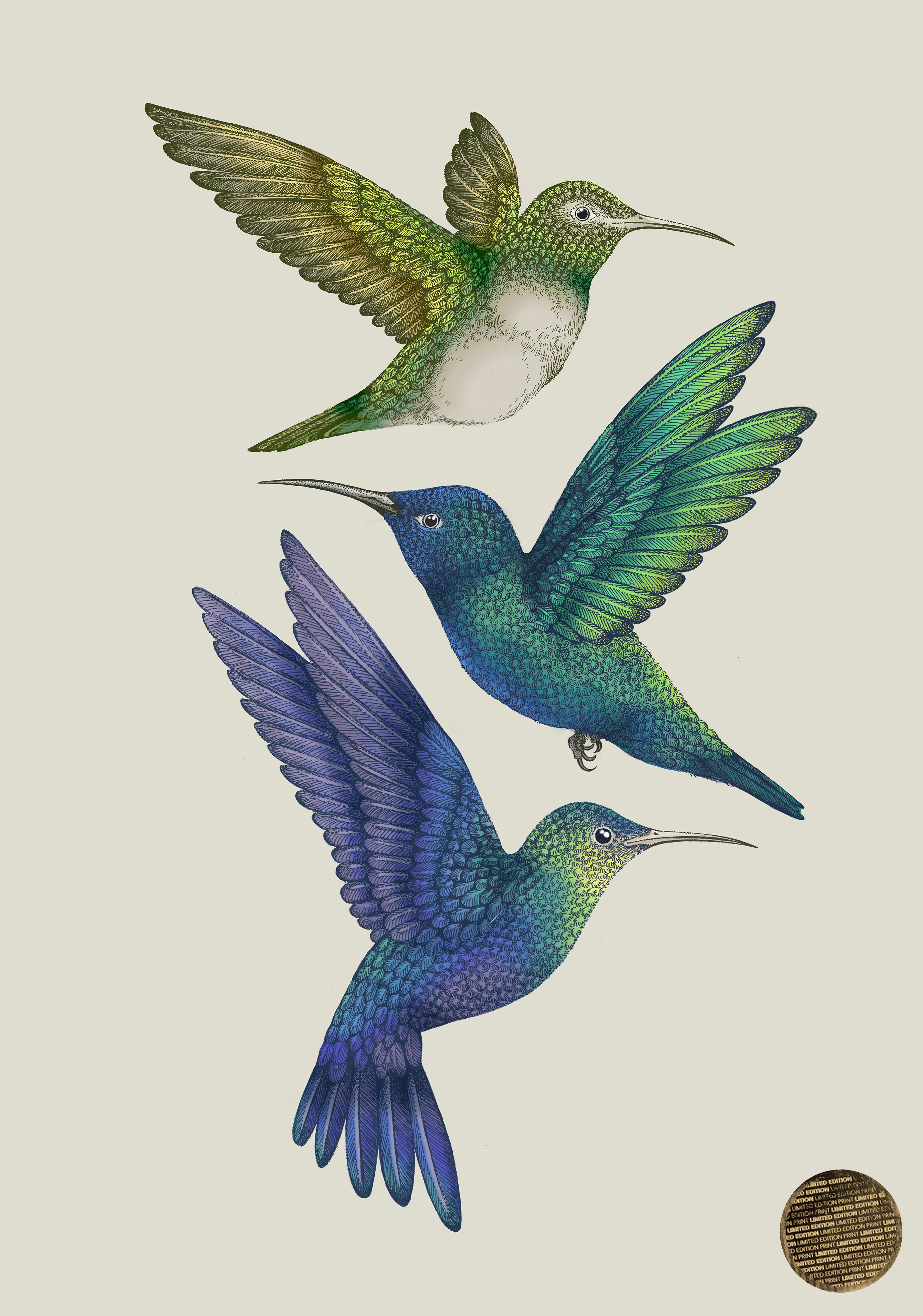 Antique Hummingbirds II Cream' Giclée Print A2 - Limited Edition