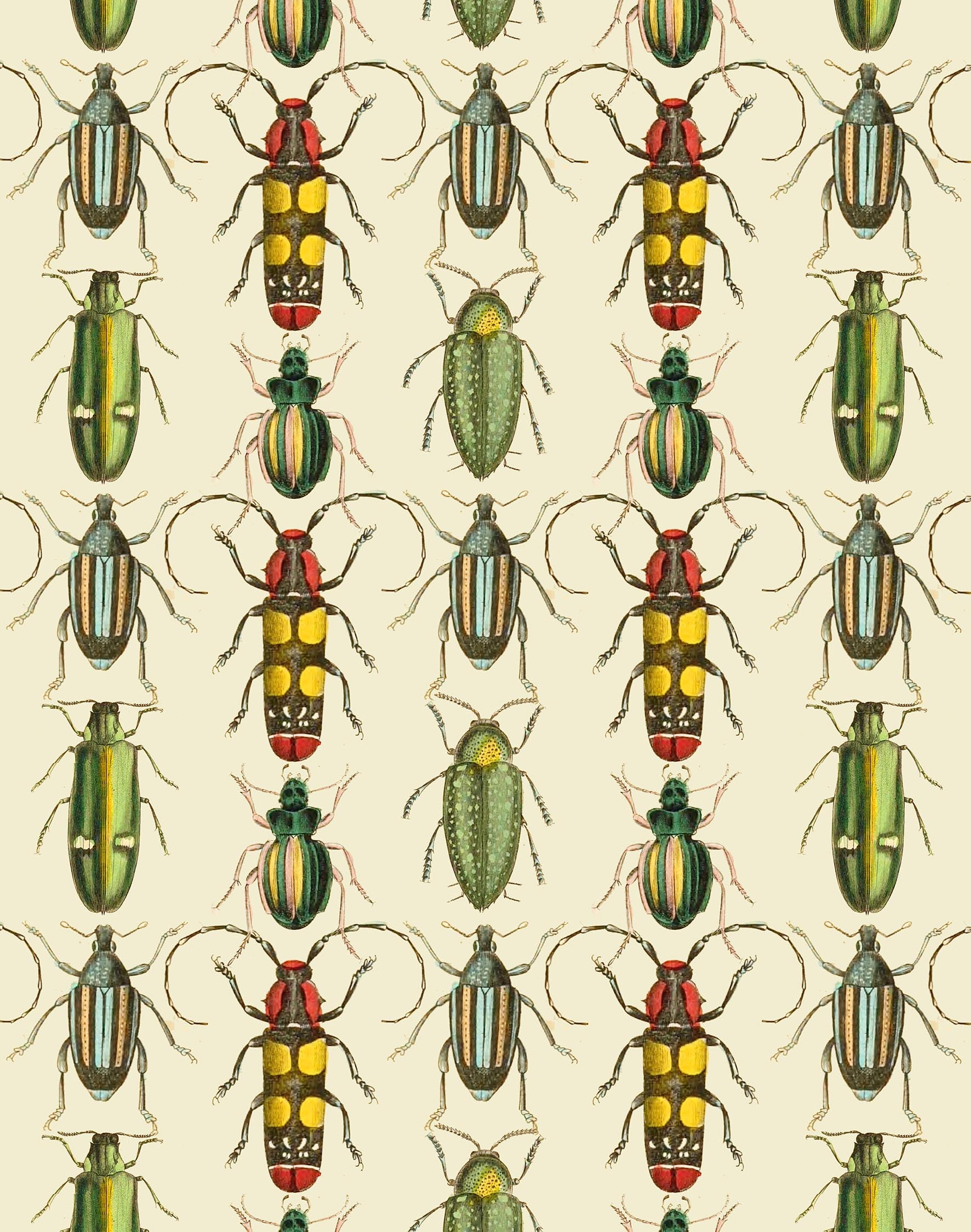 Tropical Beetle Print