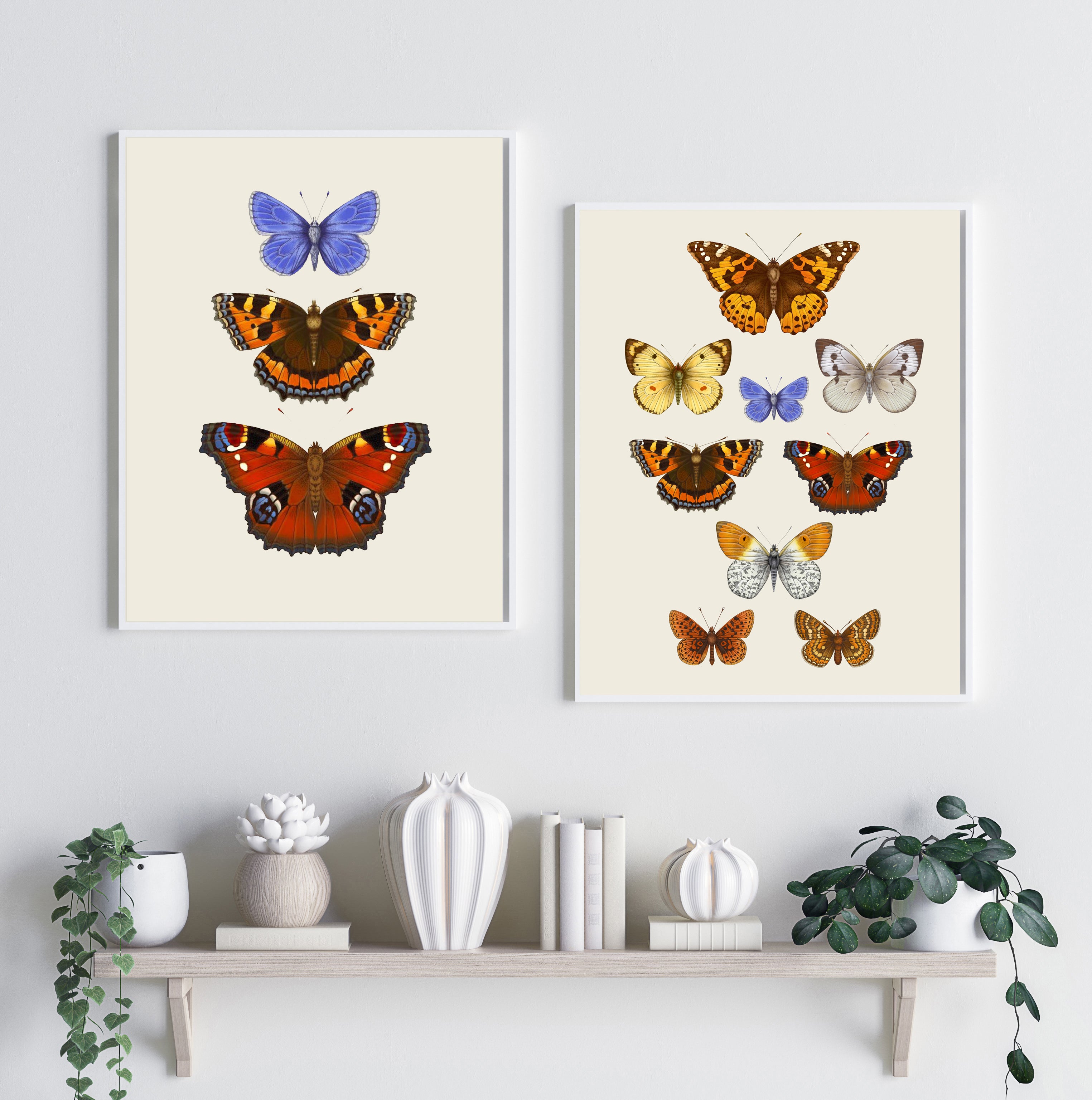 'Antique British Butterflies VII' Fine Art Print