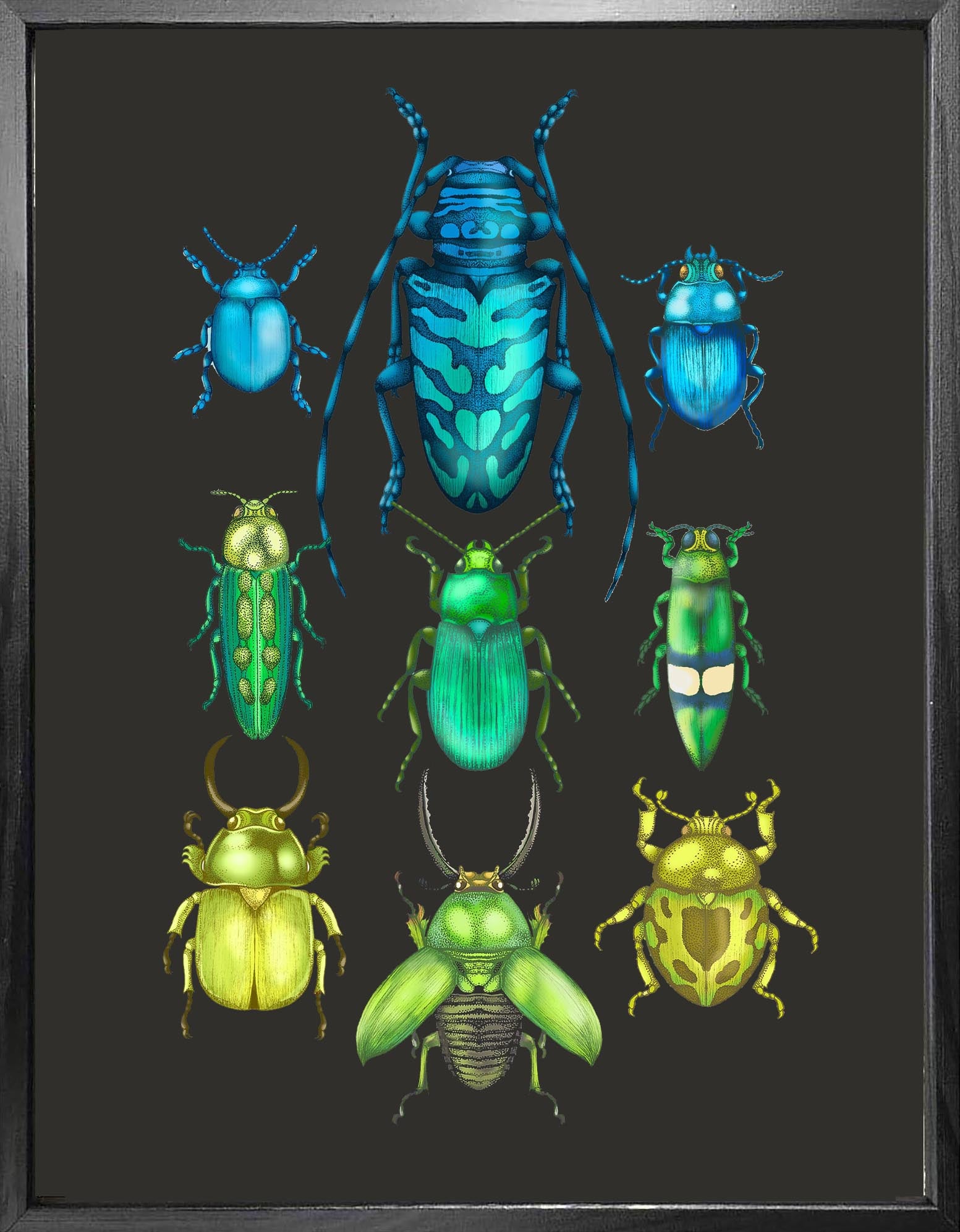 'Antique Tropical Beetles' Fine Art Print