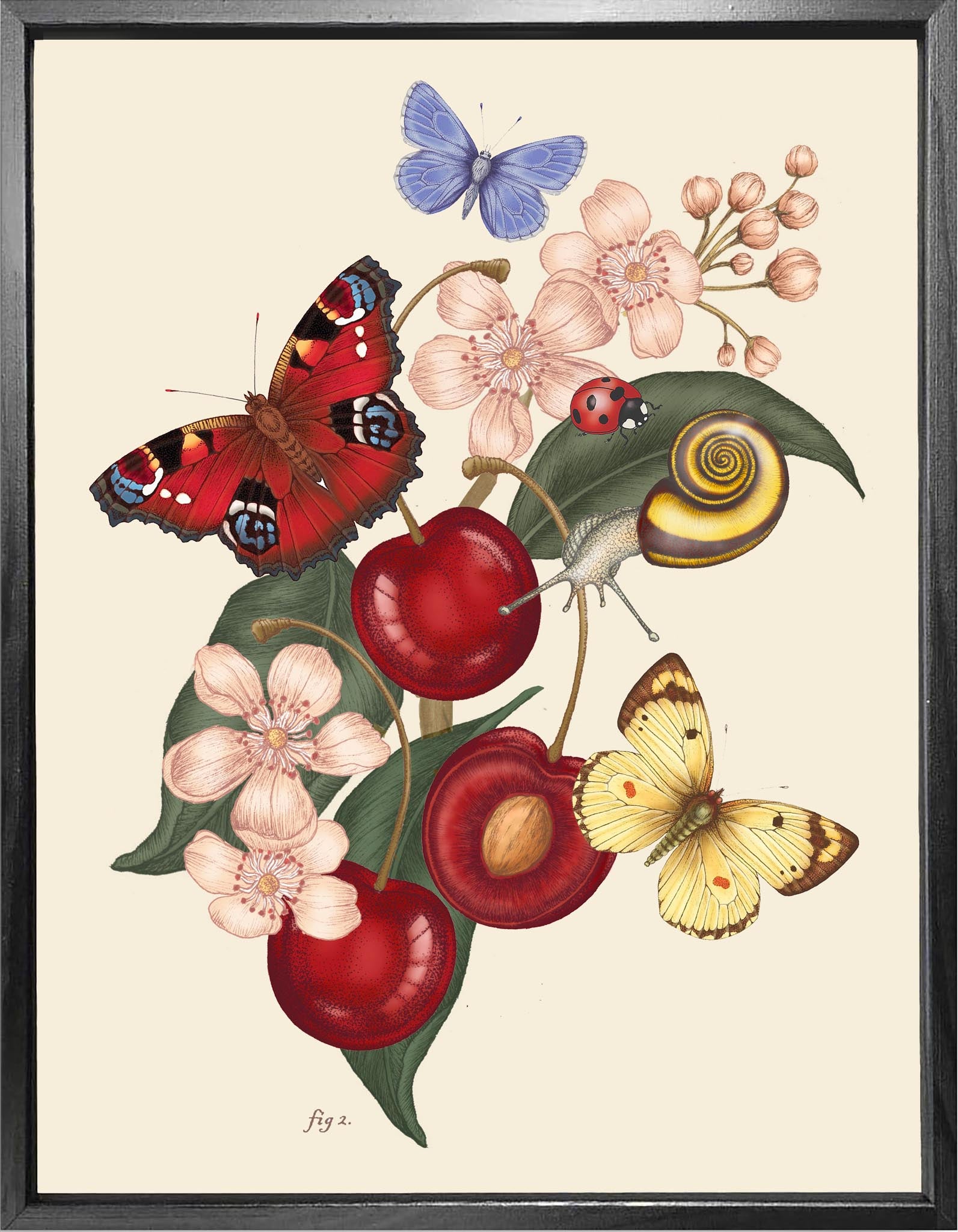 'Cherry Blossom & Peacock Still Life' Fine Art Print