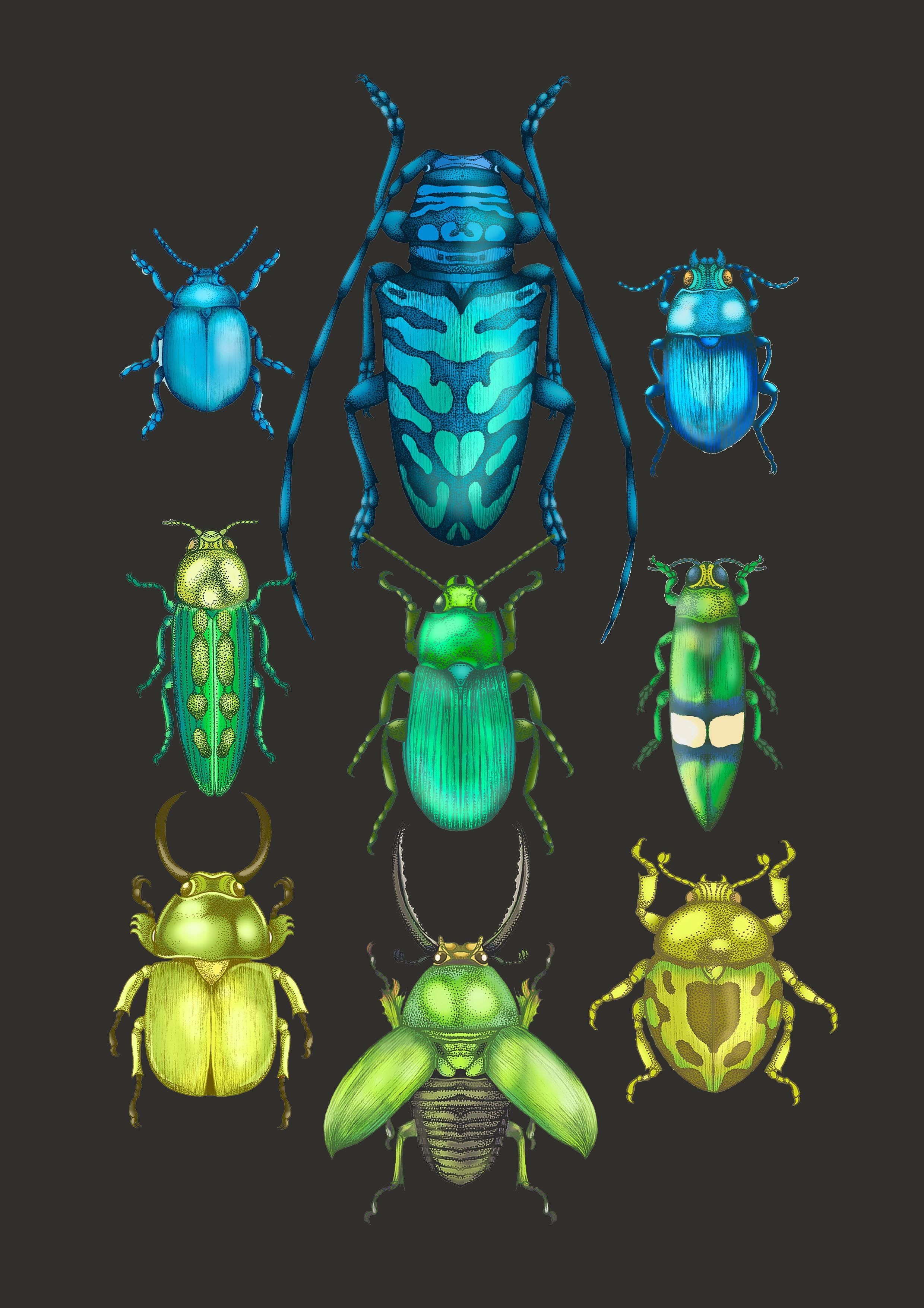 'Antique Tropical Beetles' Fine Art Print