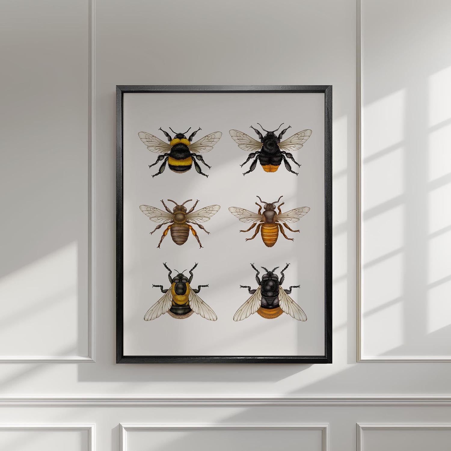 'British Bees & Hover Flies' Fine Art Print