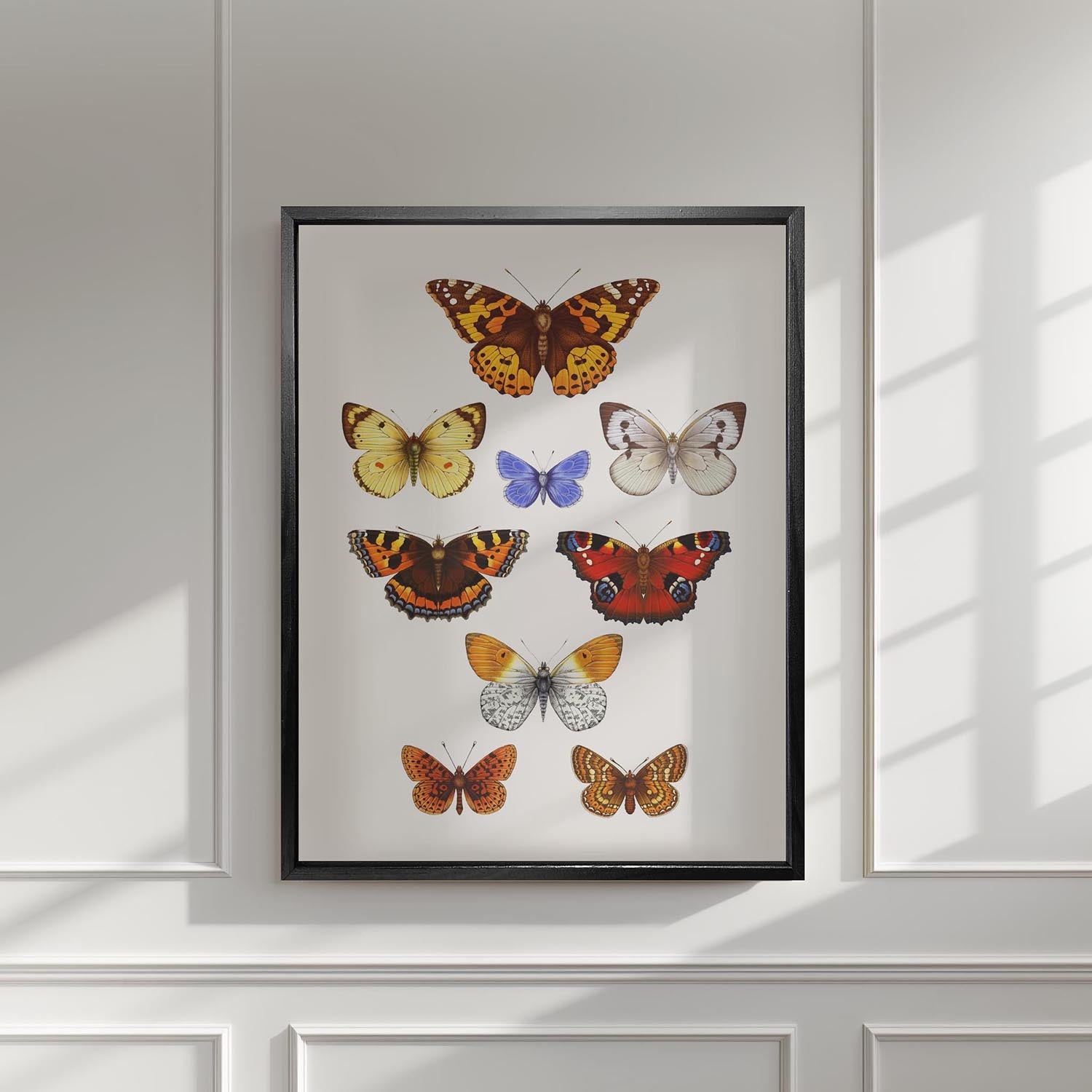 'Antique British Butterflies VII' Fine Art Print