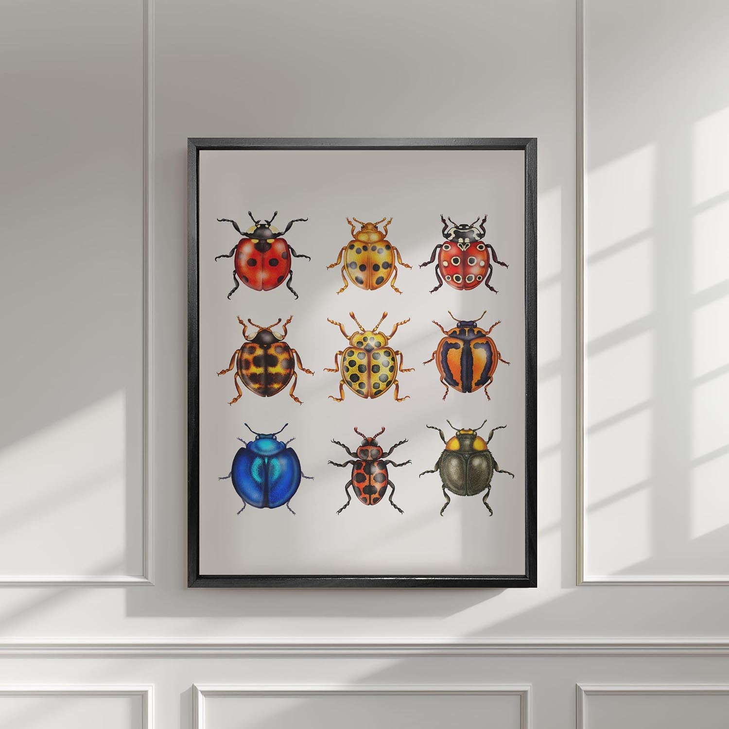'British Ladybirds' Fine Art Print