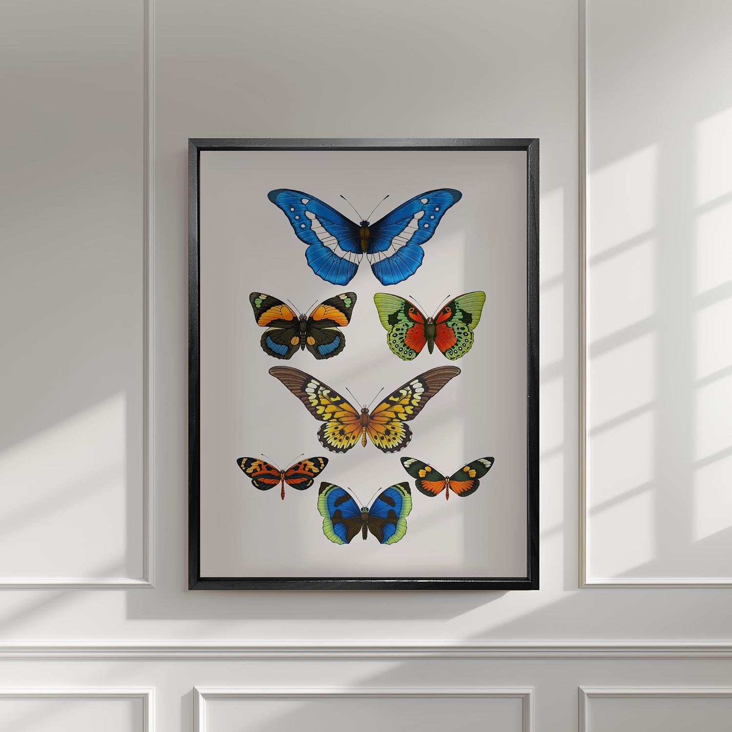 'Antique Tropical Butterflies' Fine Art Print