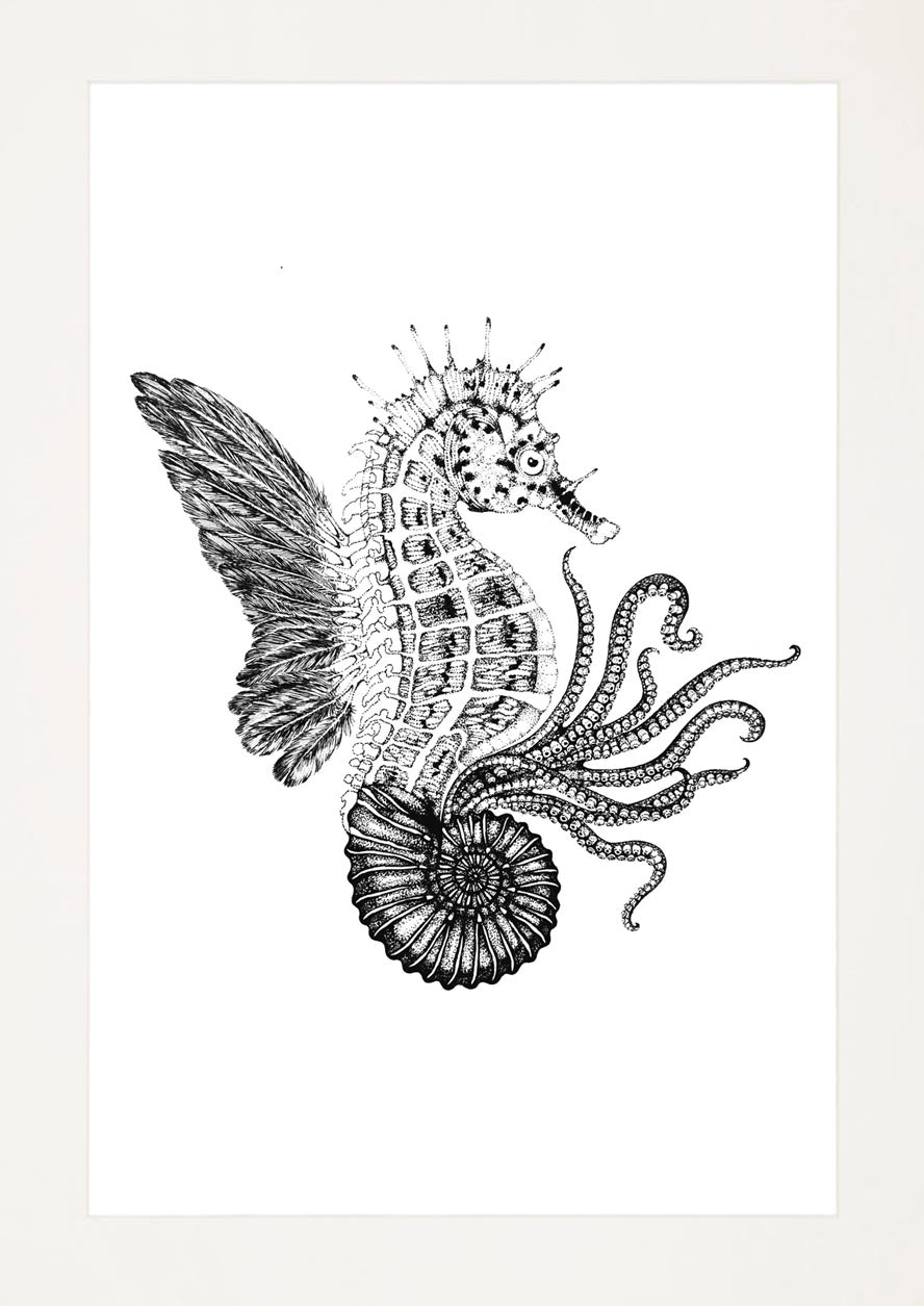 'Ammonautilae, 2015' | Signed Original A3 Illustration