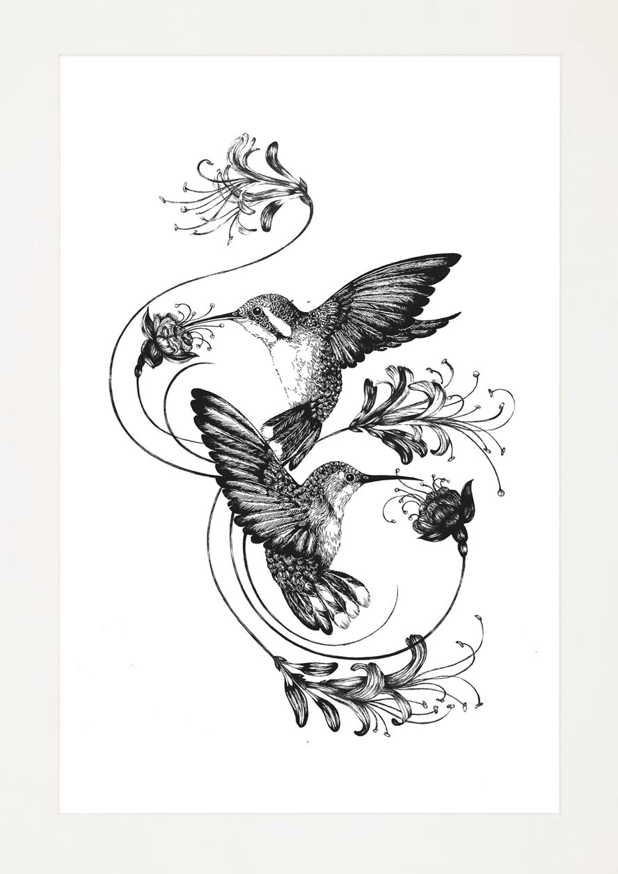 'Hummingbirds & Honeysuckle, 2015' | Signed Original A3 Illustration