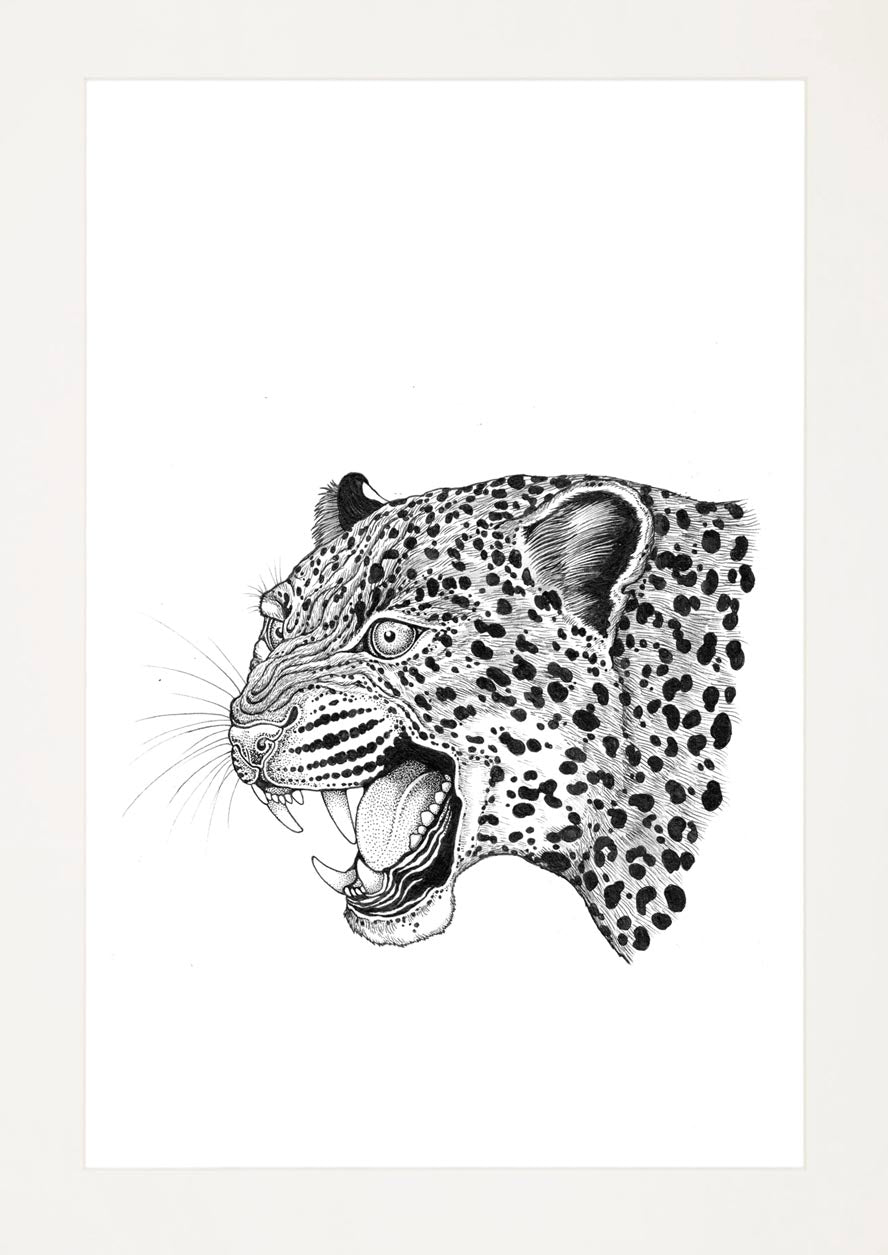 'Leopard, 2023' | Signed Original A4 Illustration