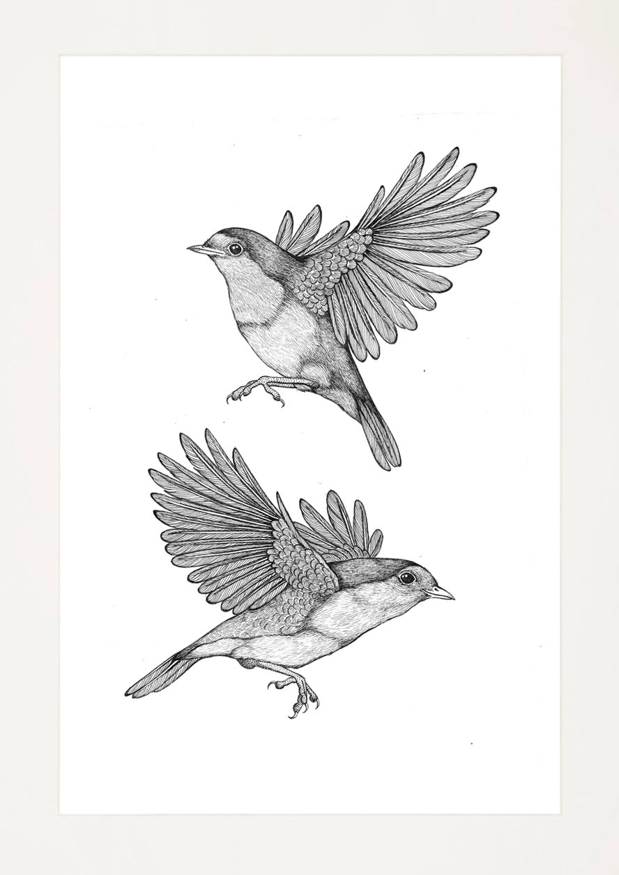 'Robins, 2023' | Signed Original A4 Illustration