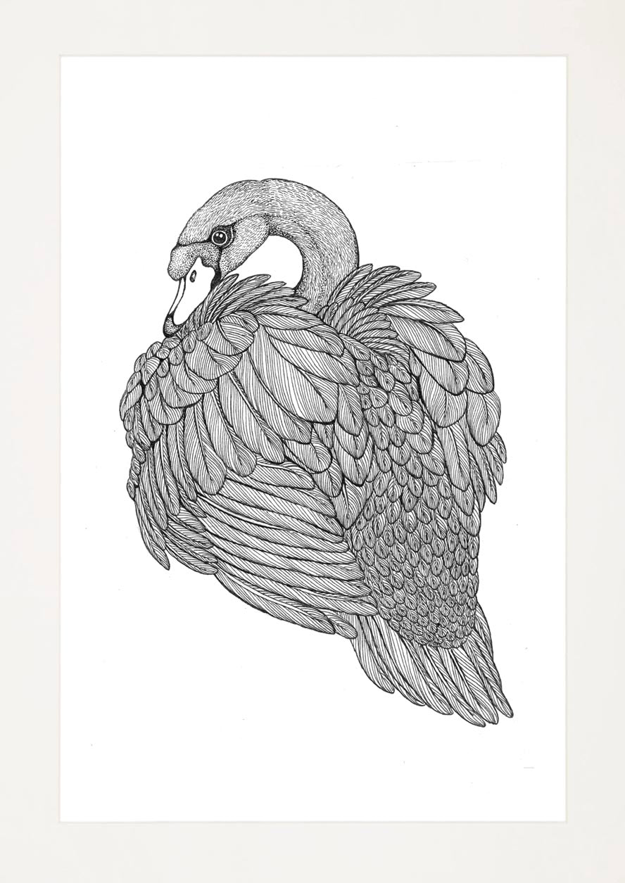 'Swan, 2023' | Signed Original A4 Illustration