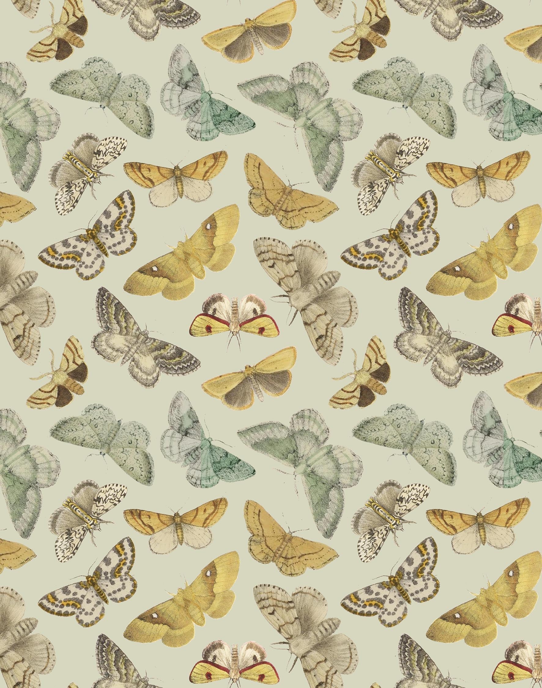 Flying Moths Print Green