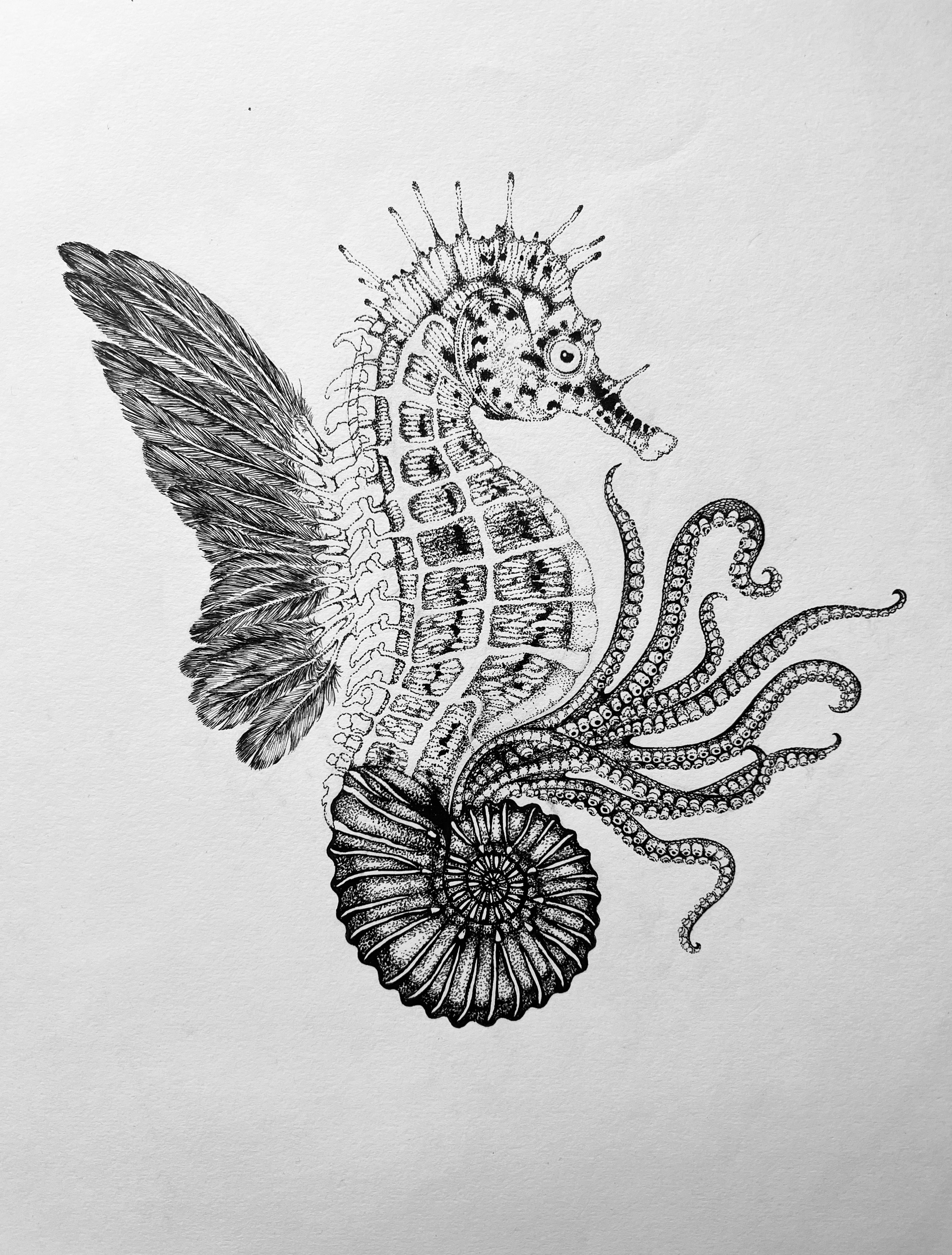 'Ammonautilae, 2015' | Signed Original A3 Illustration