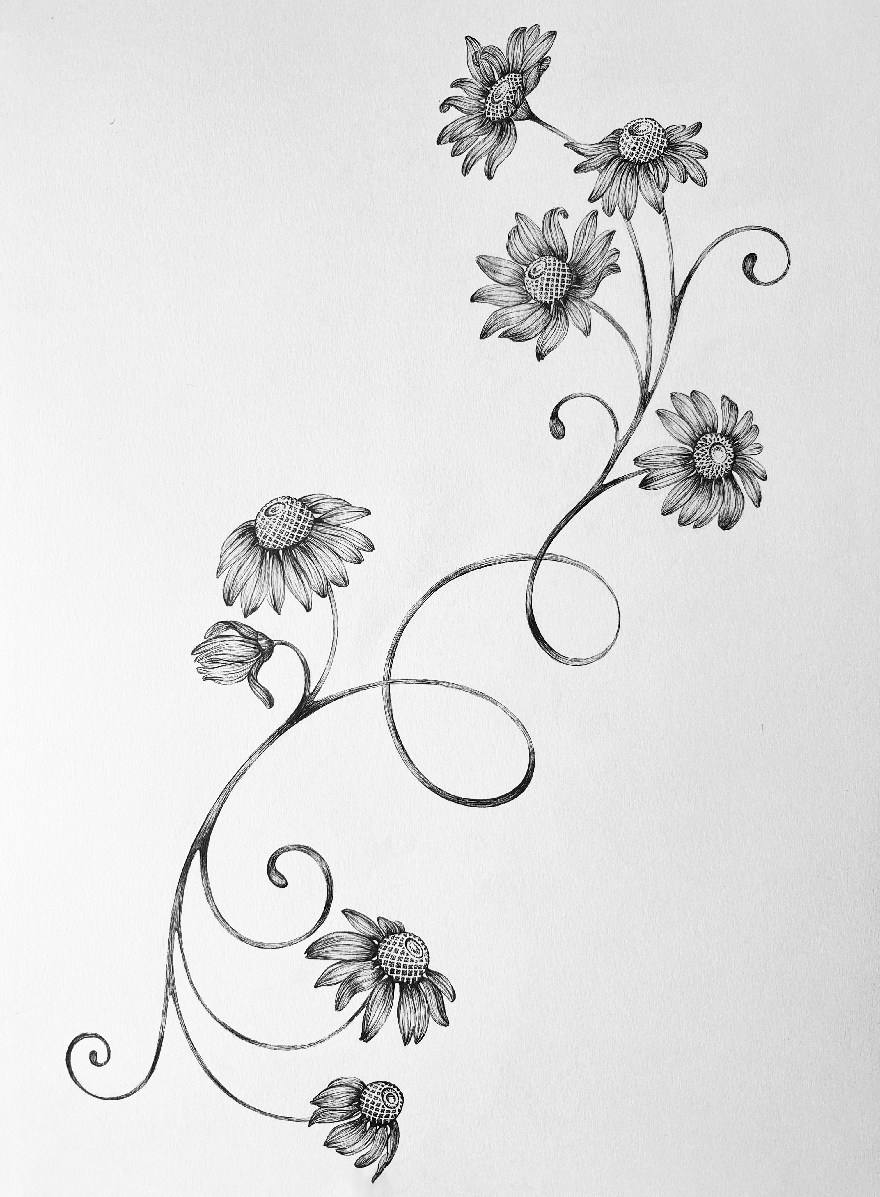 'Baroque Floral, 2022' | Signed Original A3 Illustration