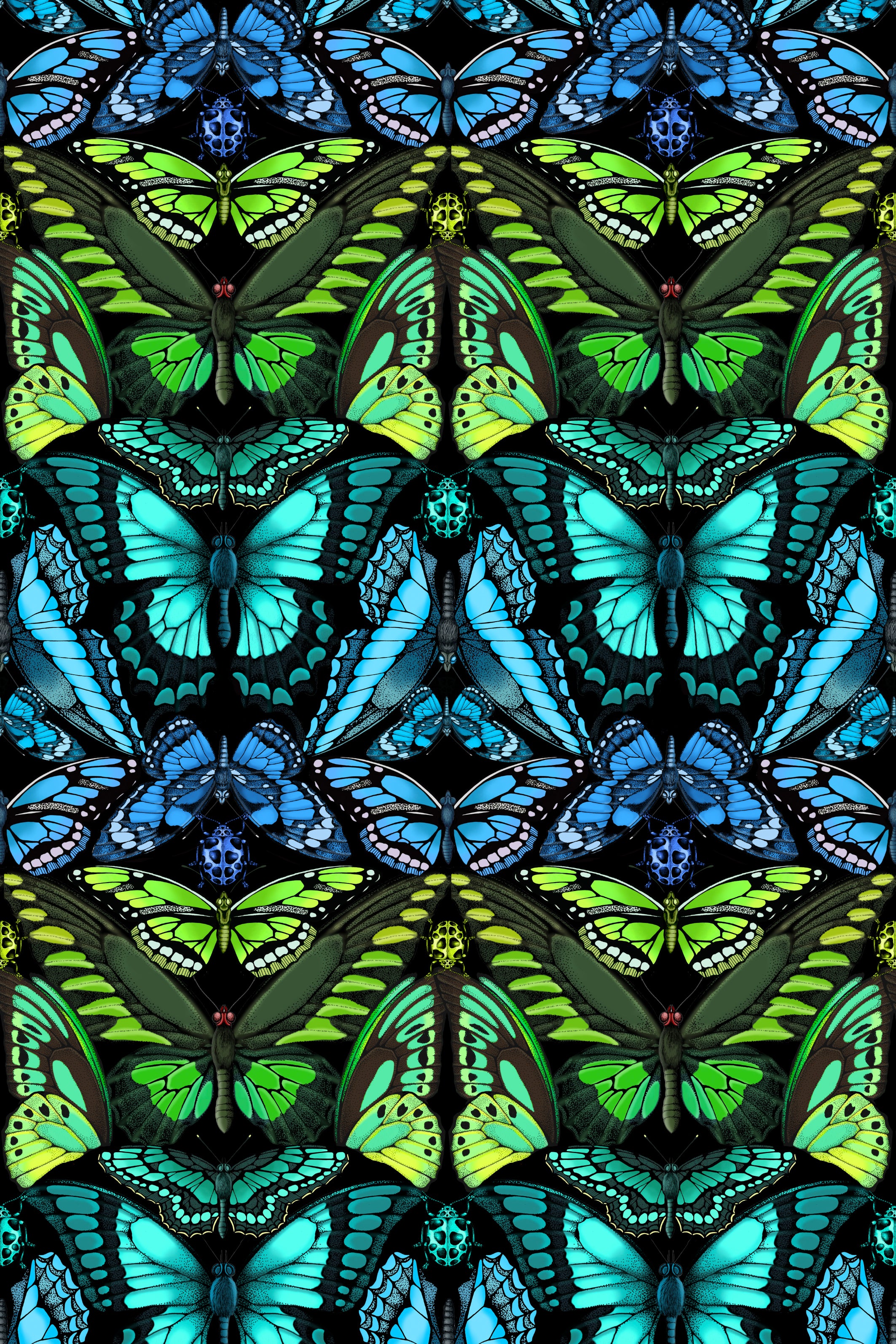 Tropical Butterfly Print