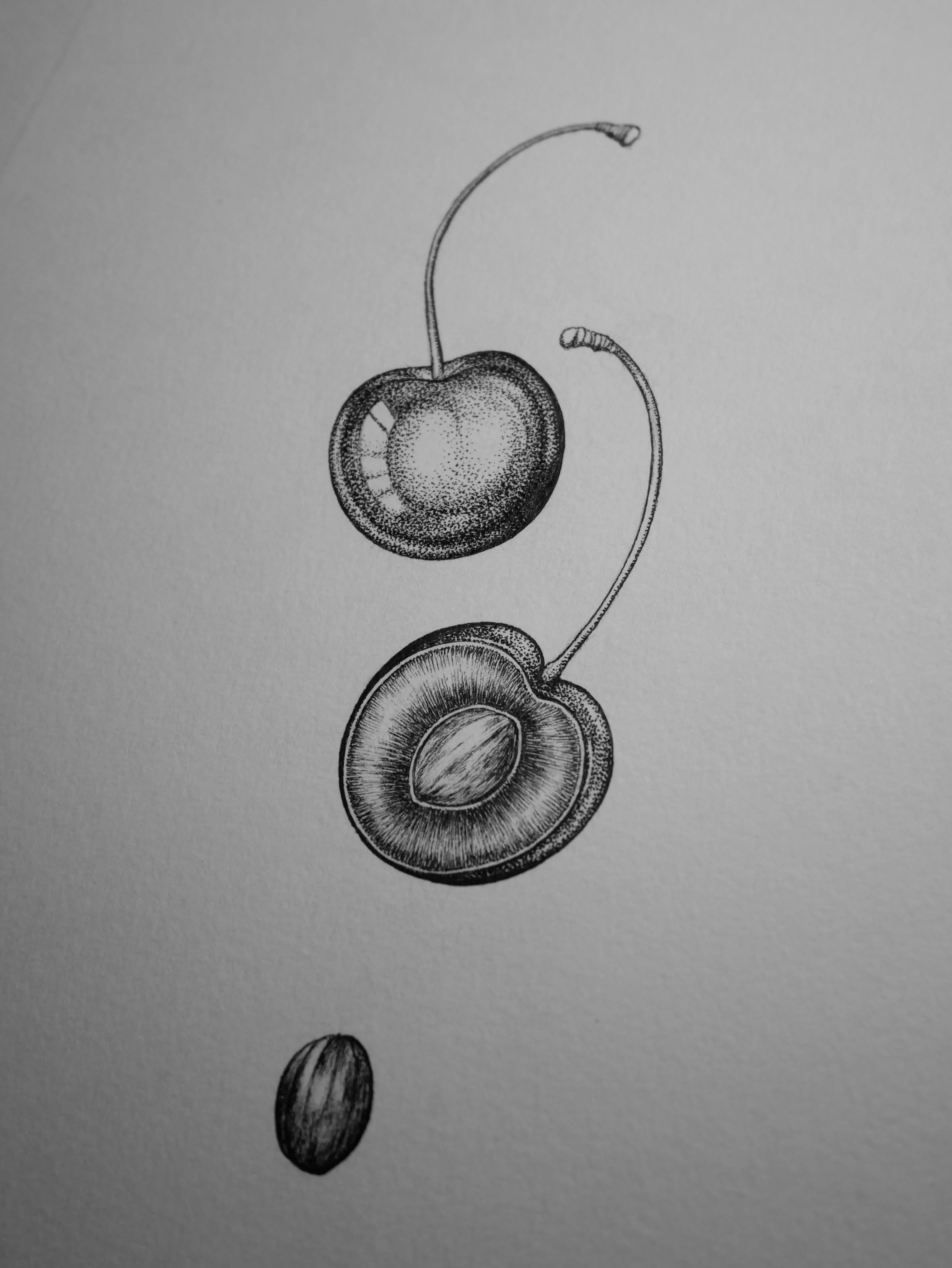 'Cherry Tree, 2026' | Signed Original A4 Illustration