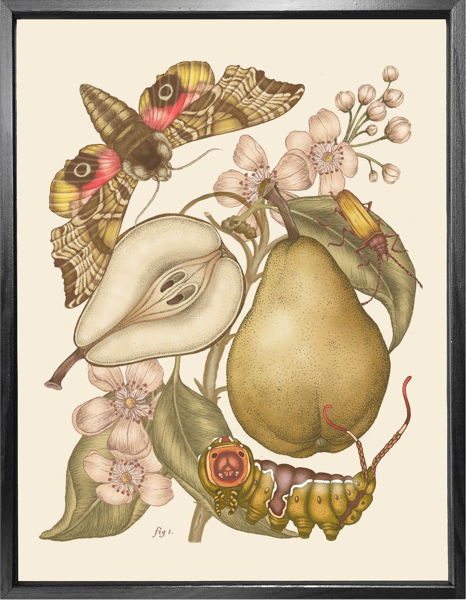 'Pear & Oleander Still Life' Fine Art Print