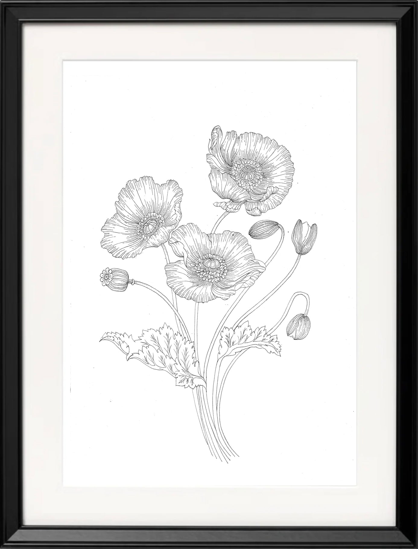'Poppies, 2023' | Signed Original A4 Illustration