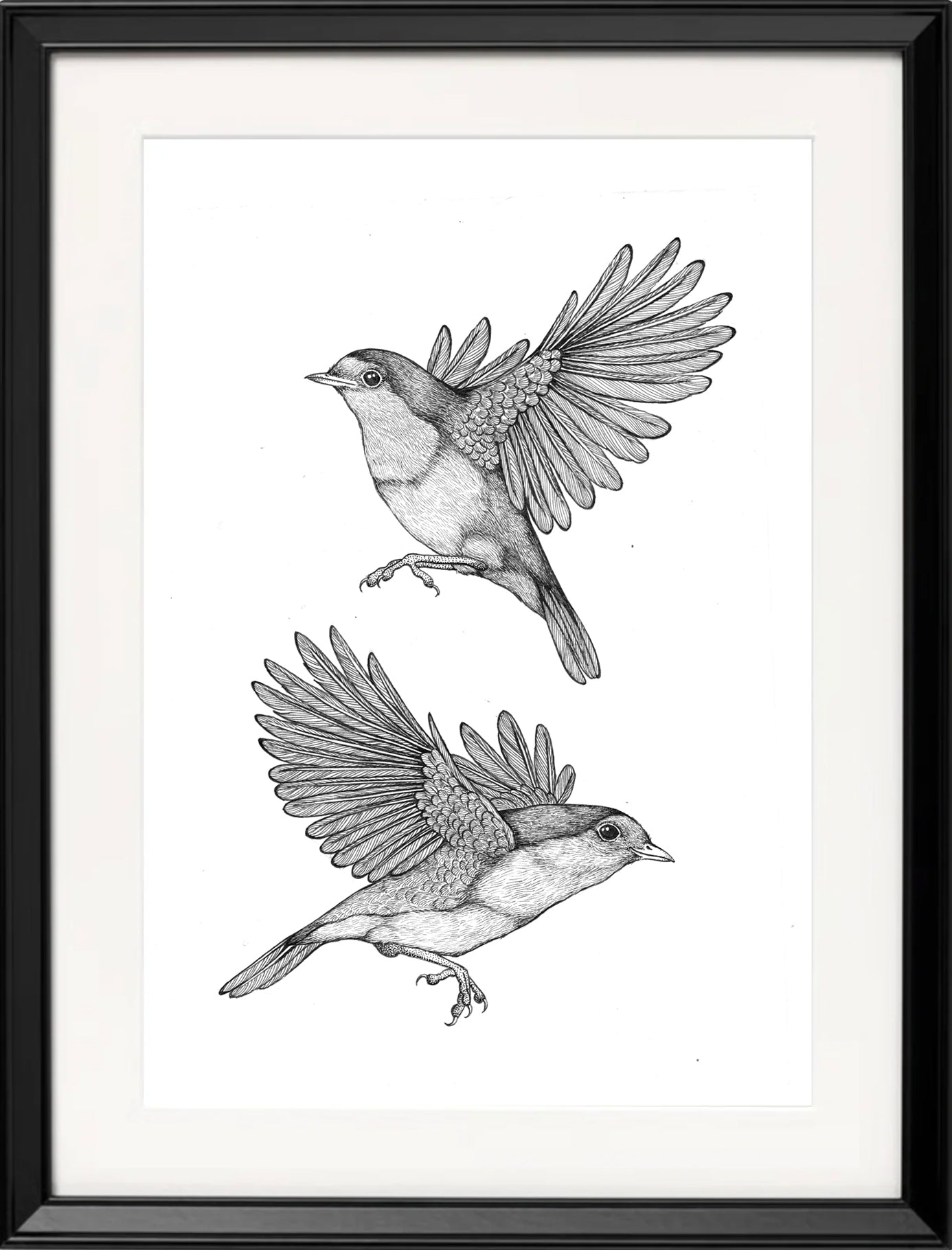 'Robins, 2023' | Signed Original A4 Illustration