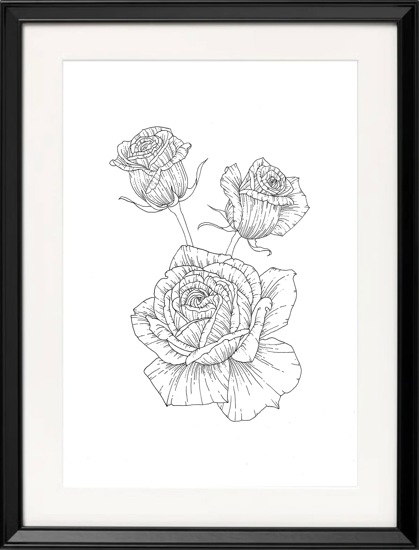 'Roses, 2023' | Signed Original A4 Illustration