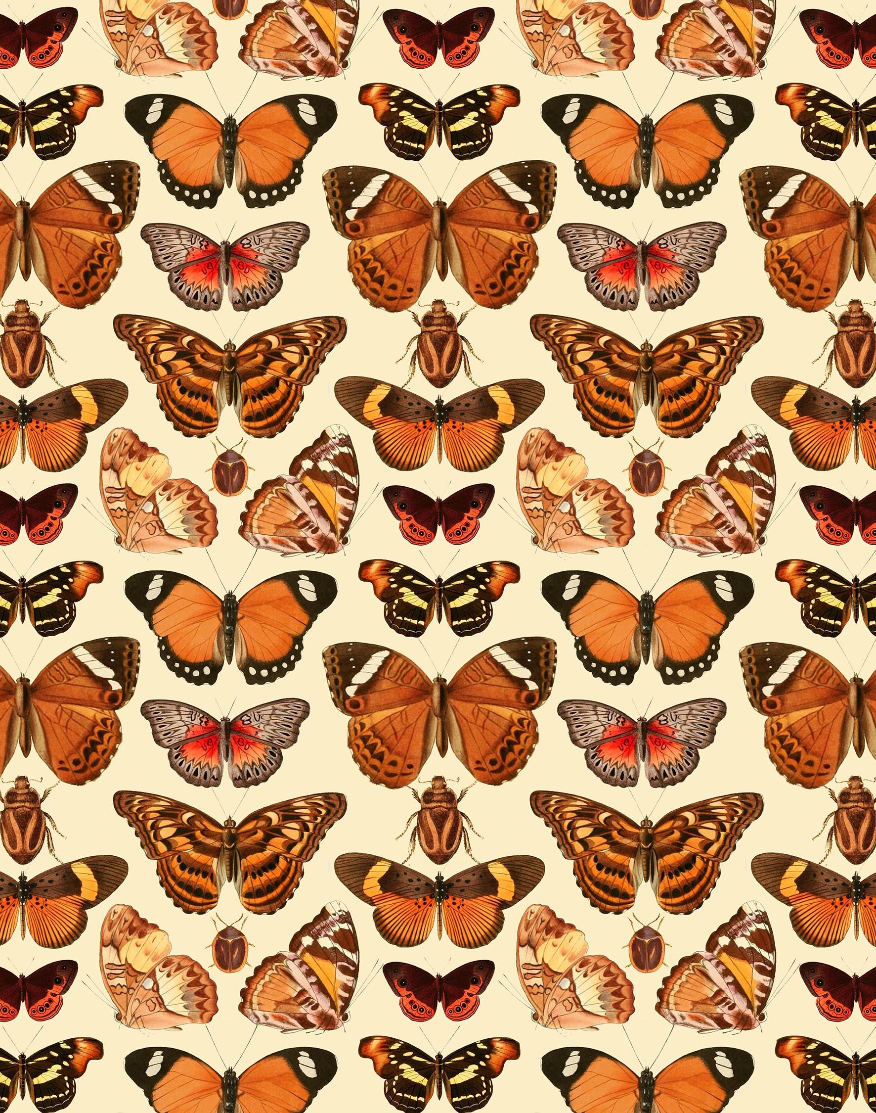 Auburn Tropical Butterfly Print