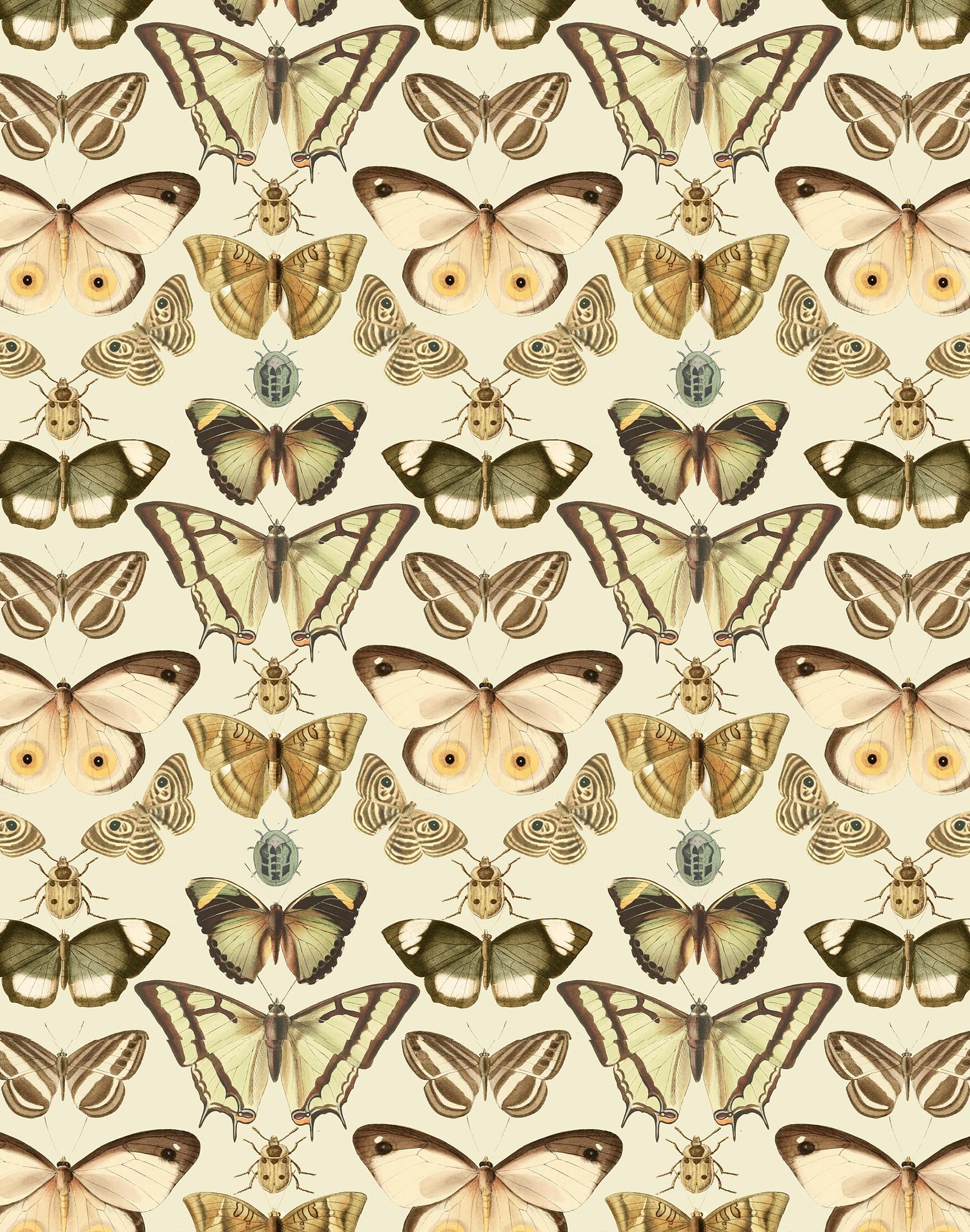 Tropical Butterfly Print Cream