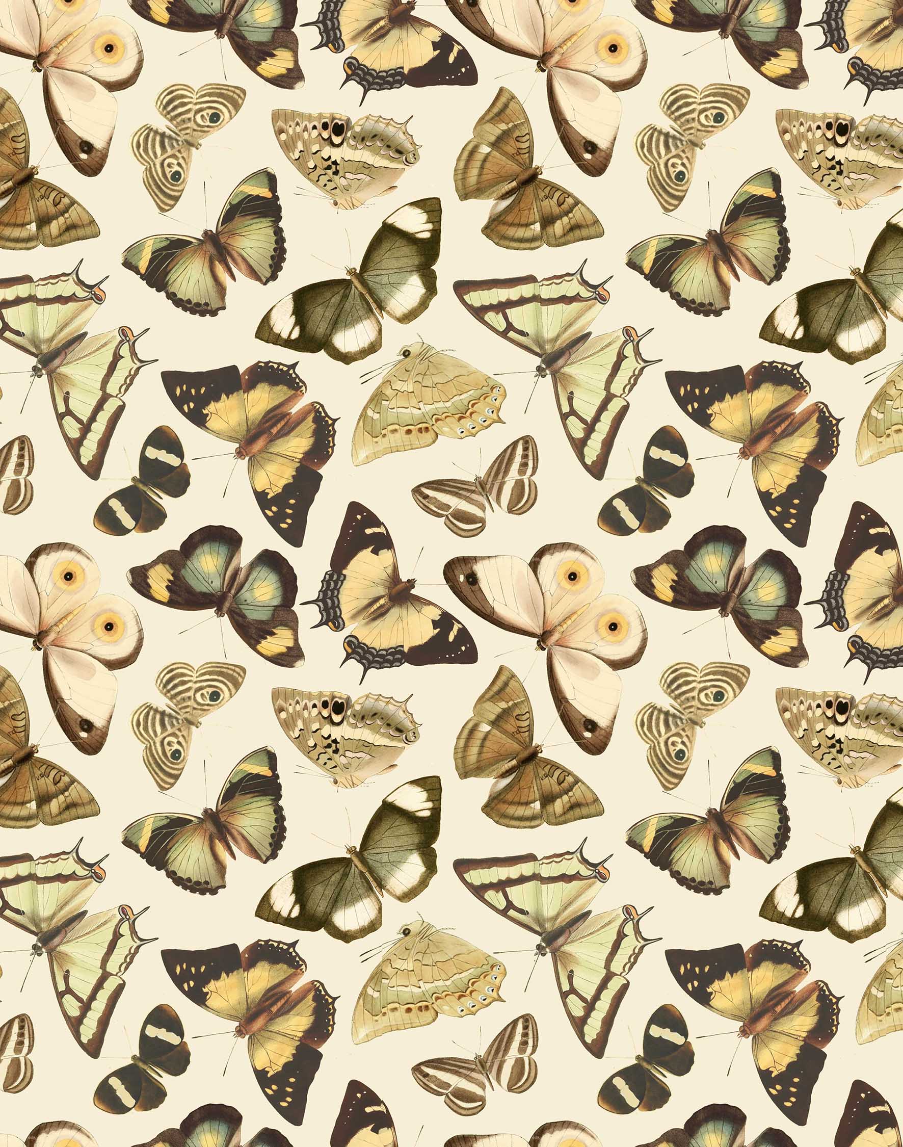 Flying Green Butterfly Print