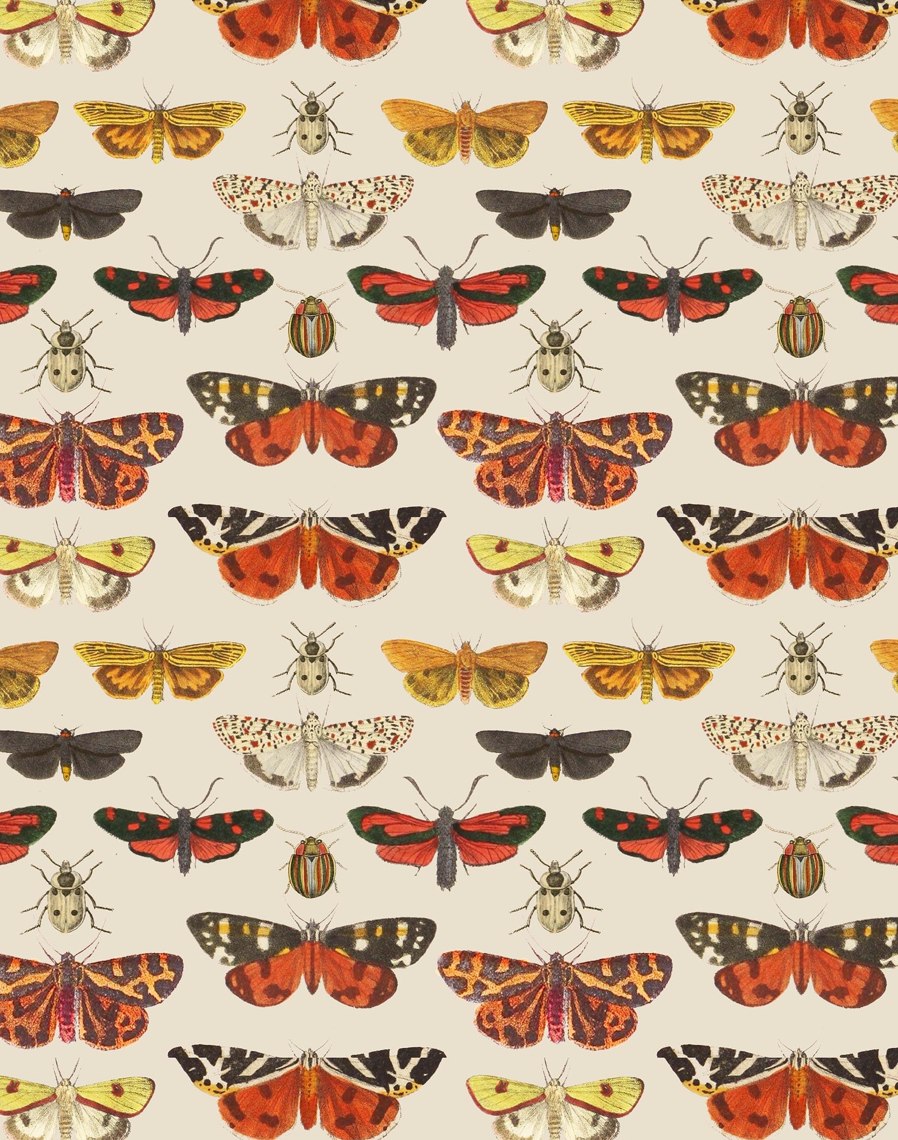 Tiger Moth Print