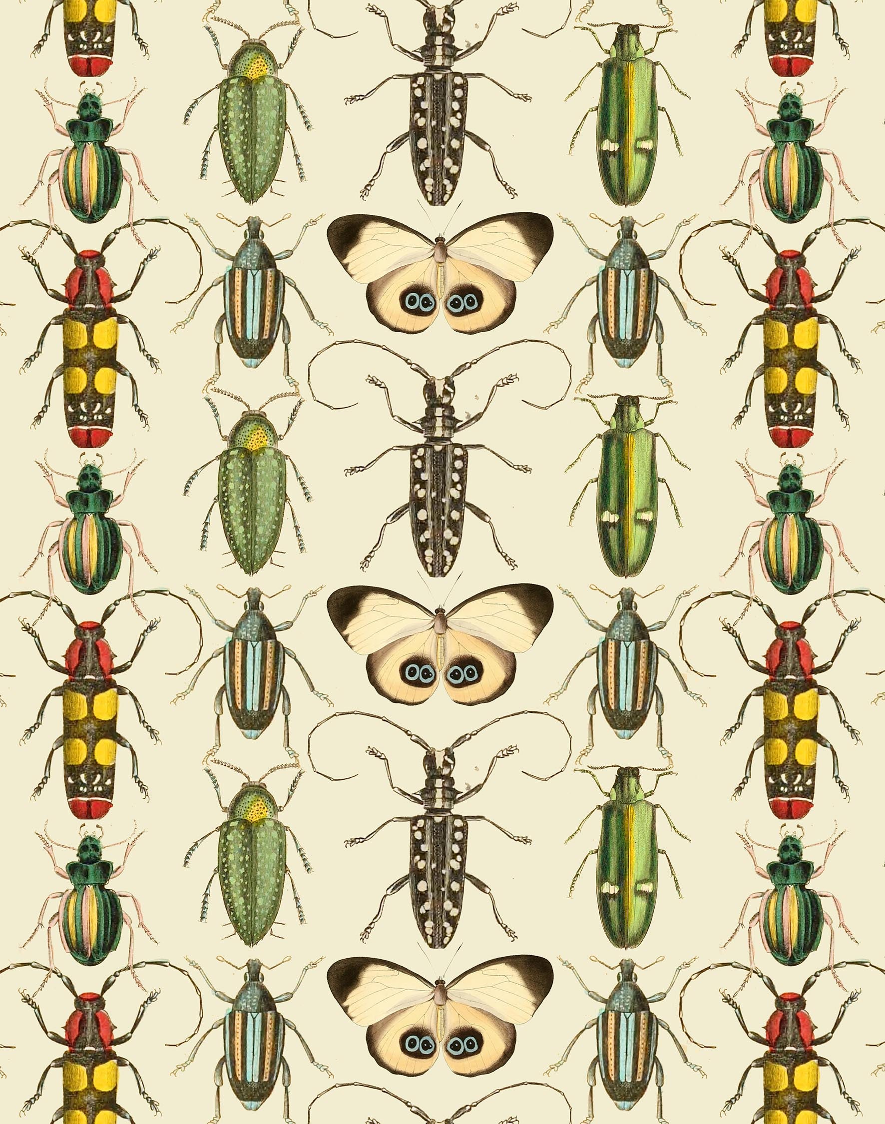 Butterfly & Beetle Print