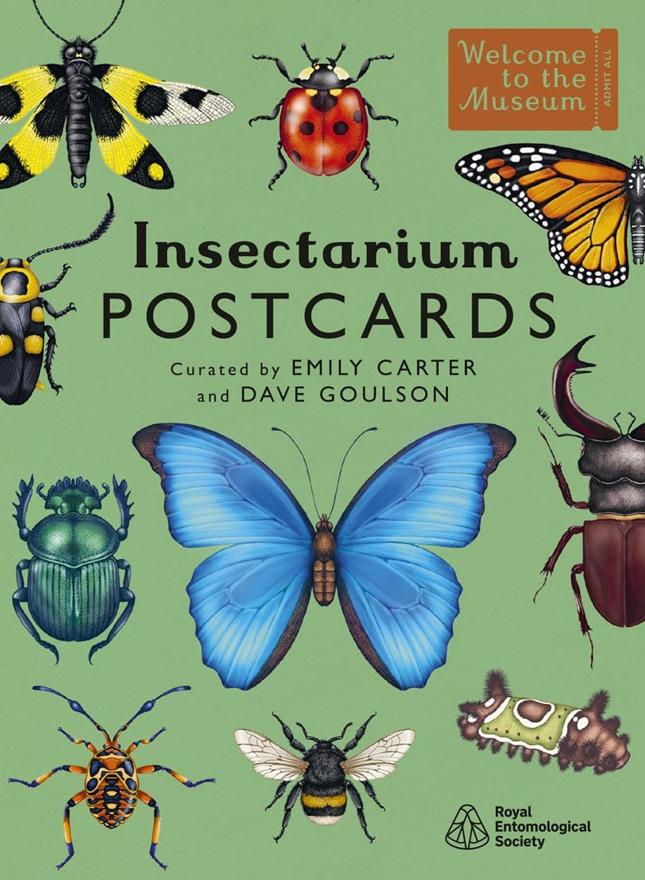 'Insectarium Post Cards' by Emily Carter
