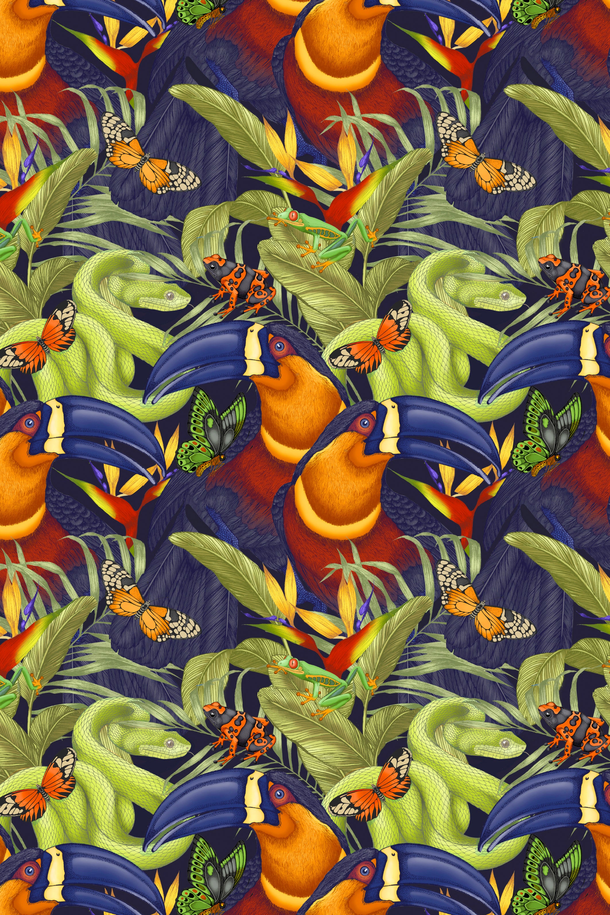 Toucan Print