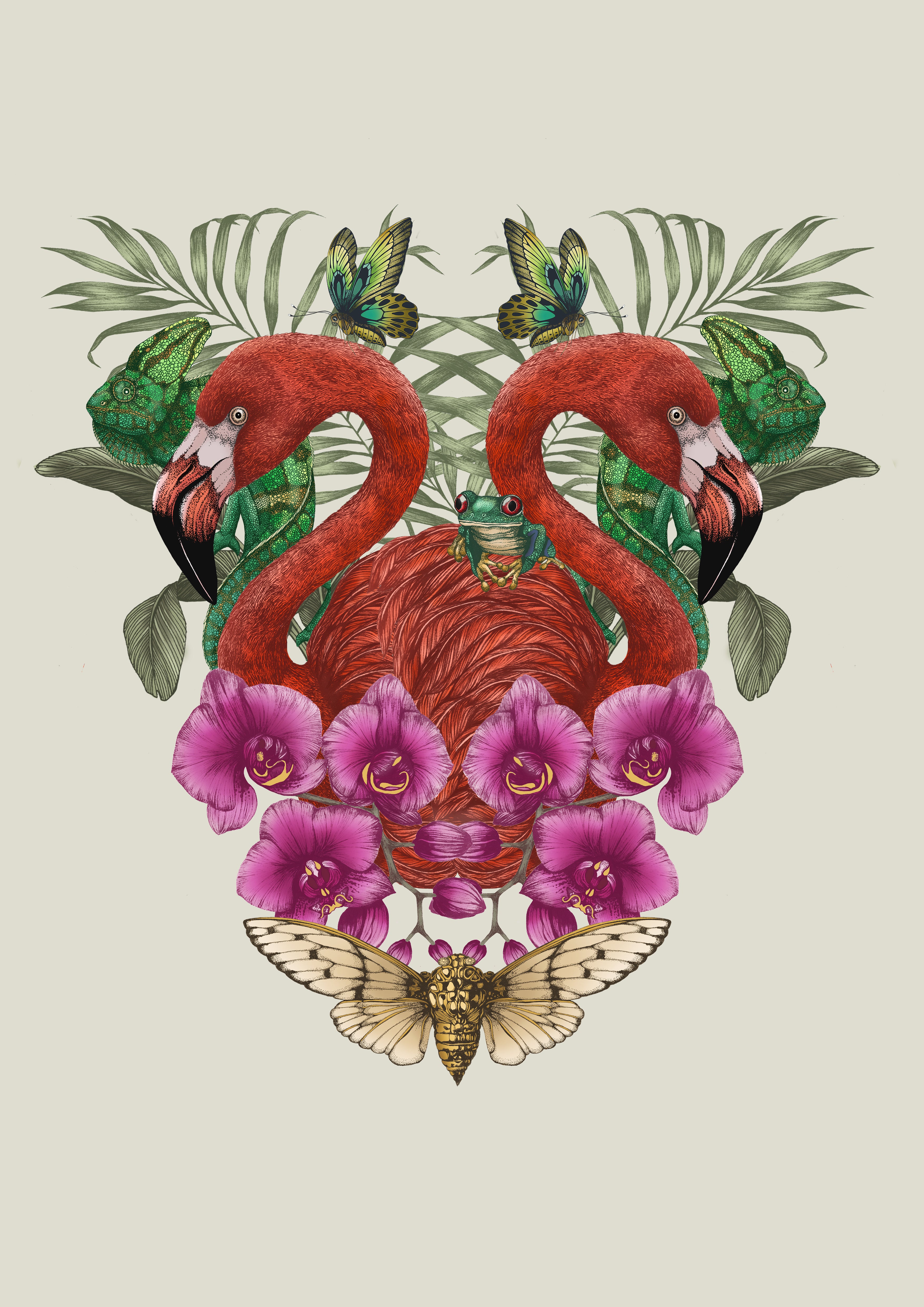 'Antique Tropical Flamingo' Fine Art Print