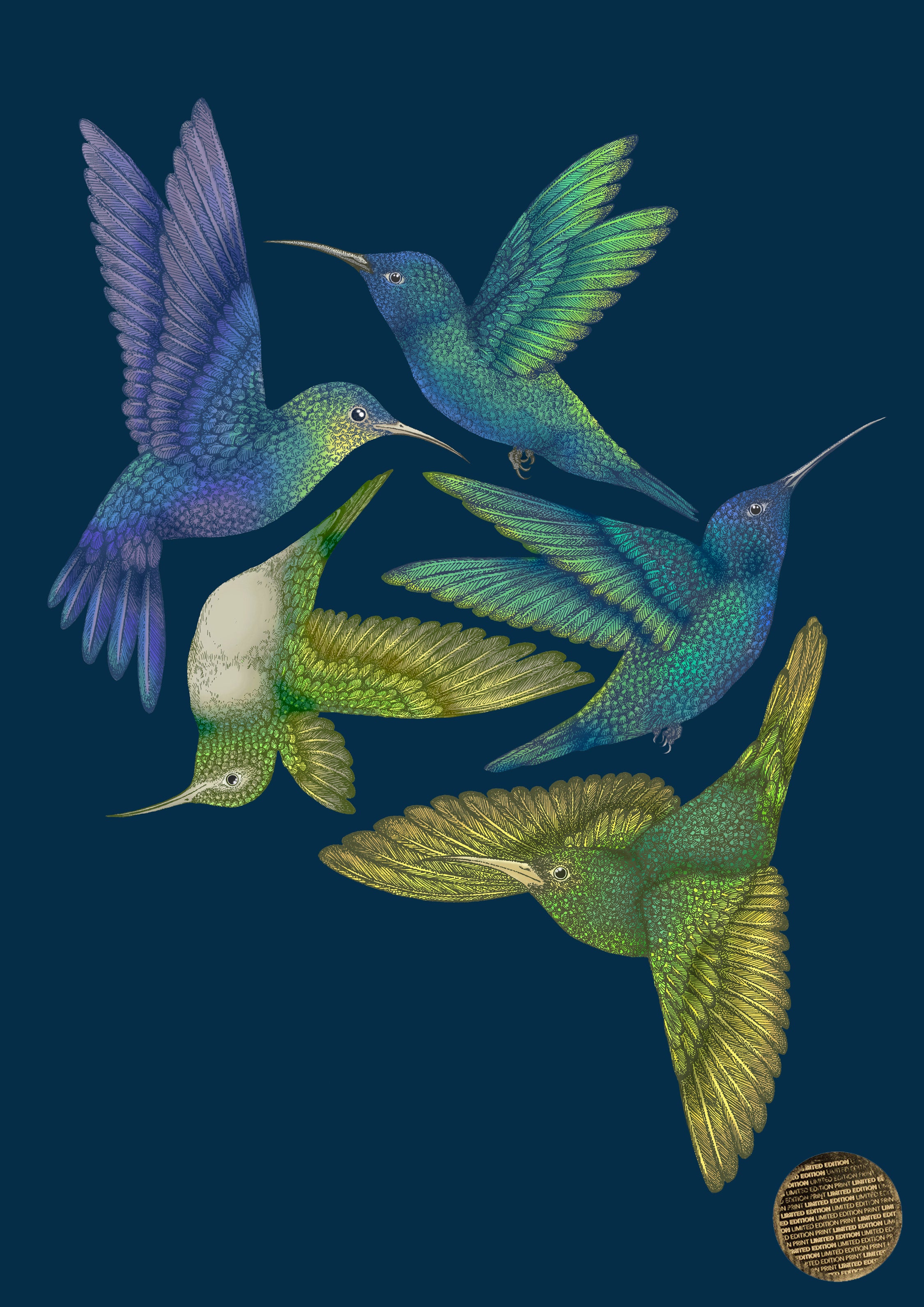 Antique Hummingbirds I' Giclée Print A2 - Limited Edition