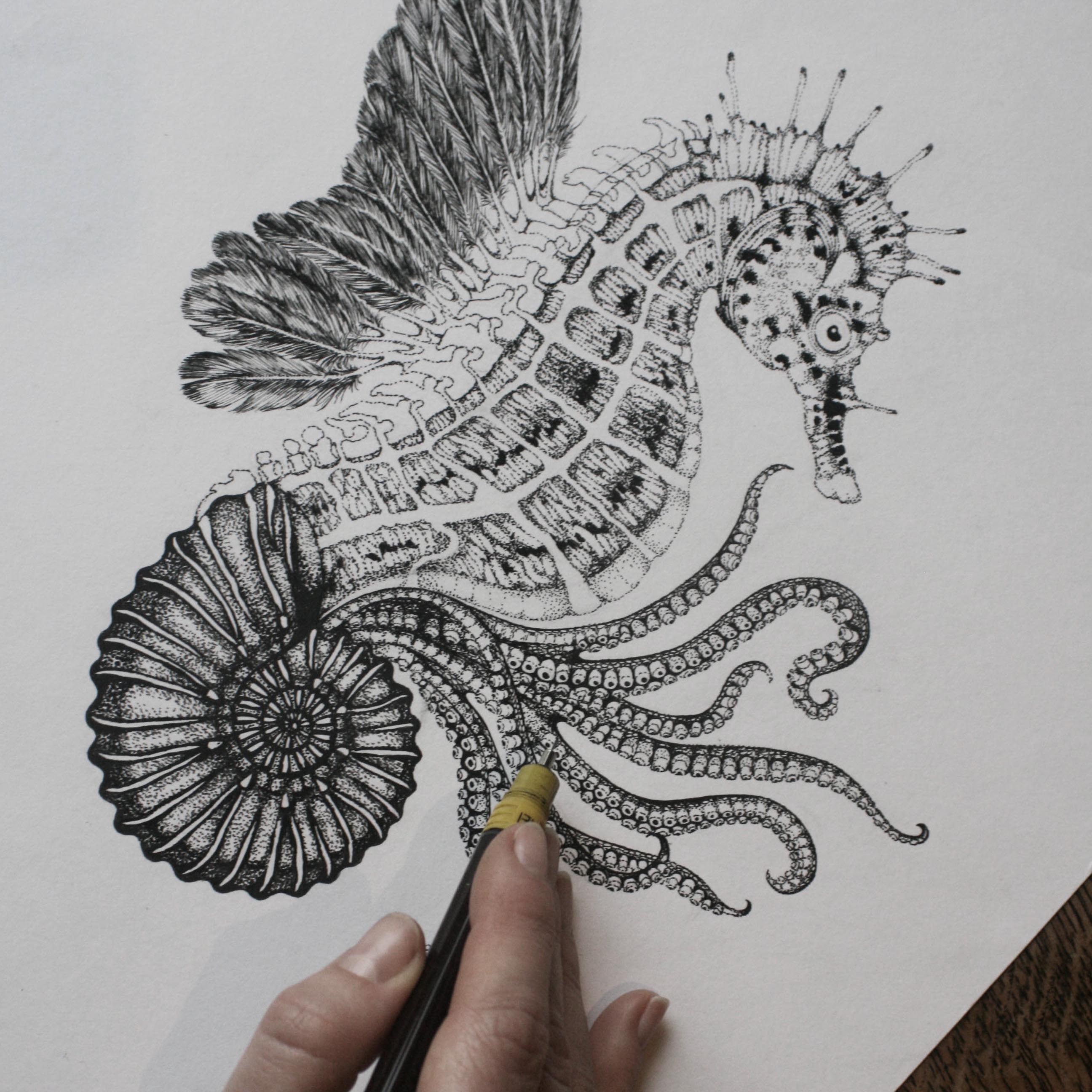 'Ammonautilae' Fine Art Print