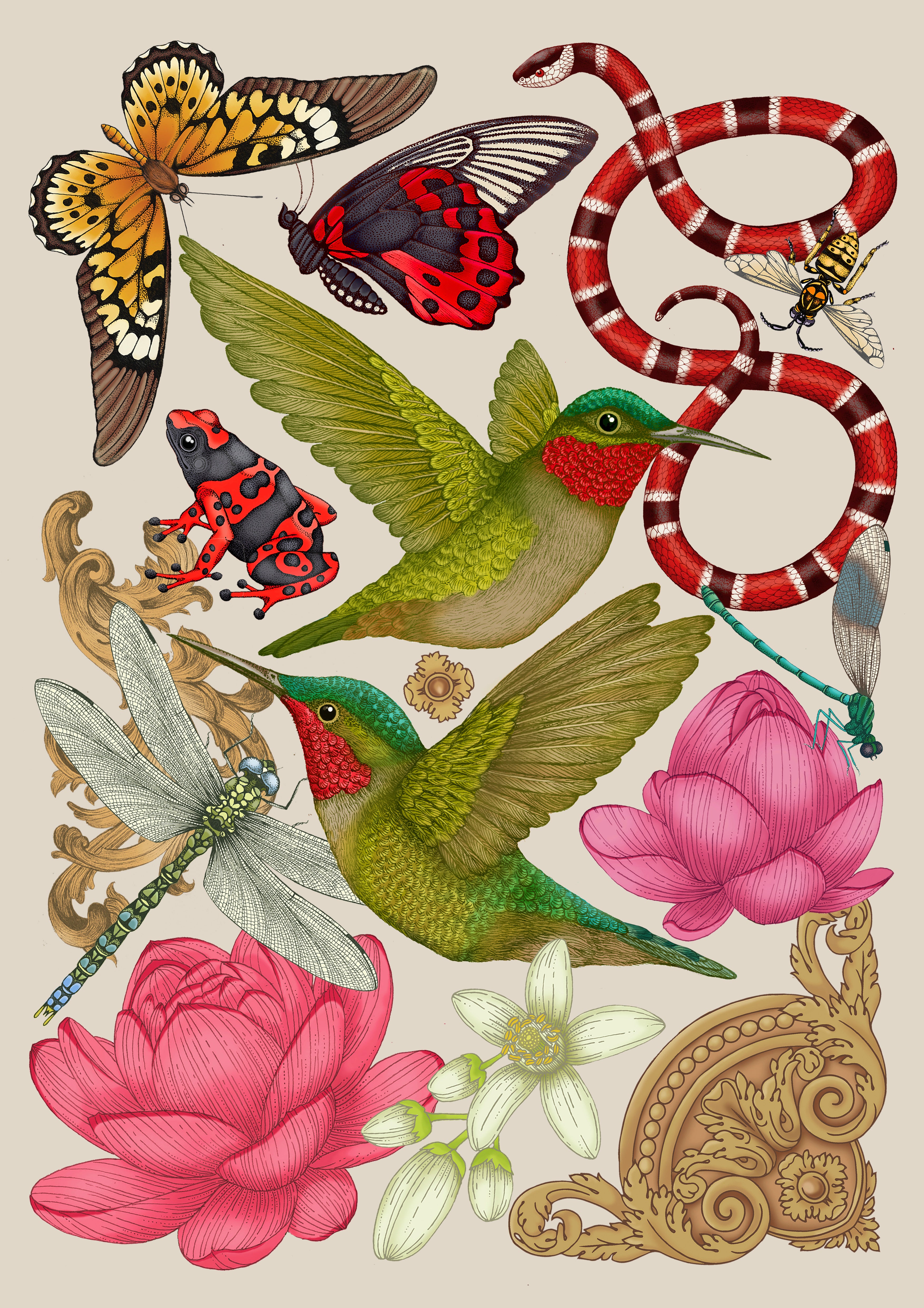 'Antique Hummingbird & Lotus' Fine Art Print