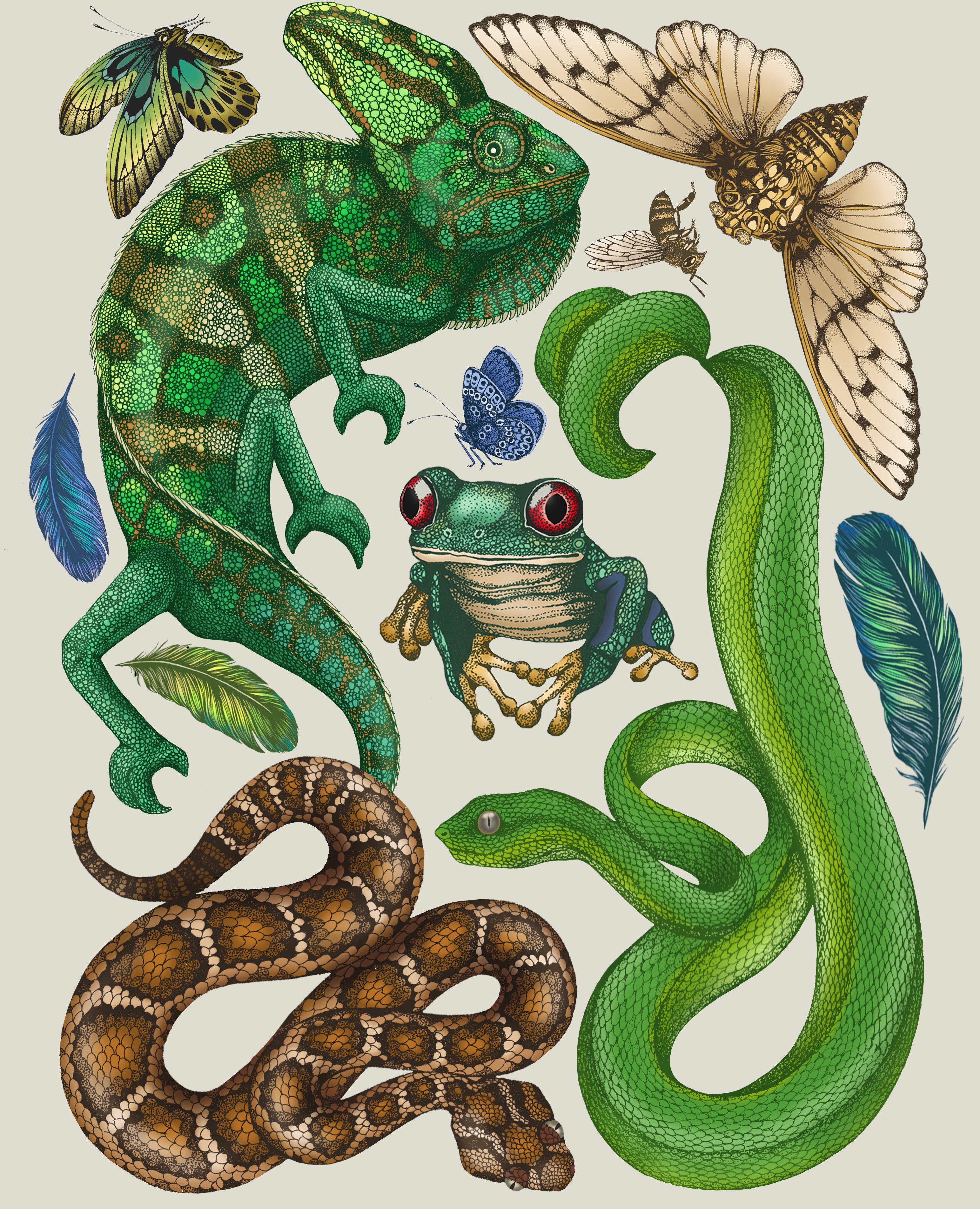 'Antique Reptiles & Amphibians - Cream' Fine Art Print