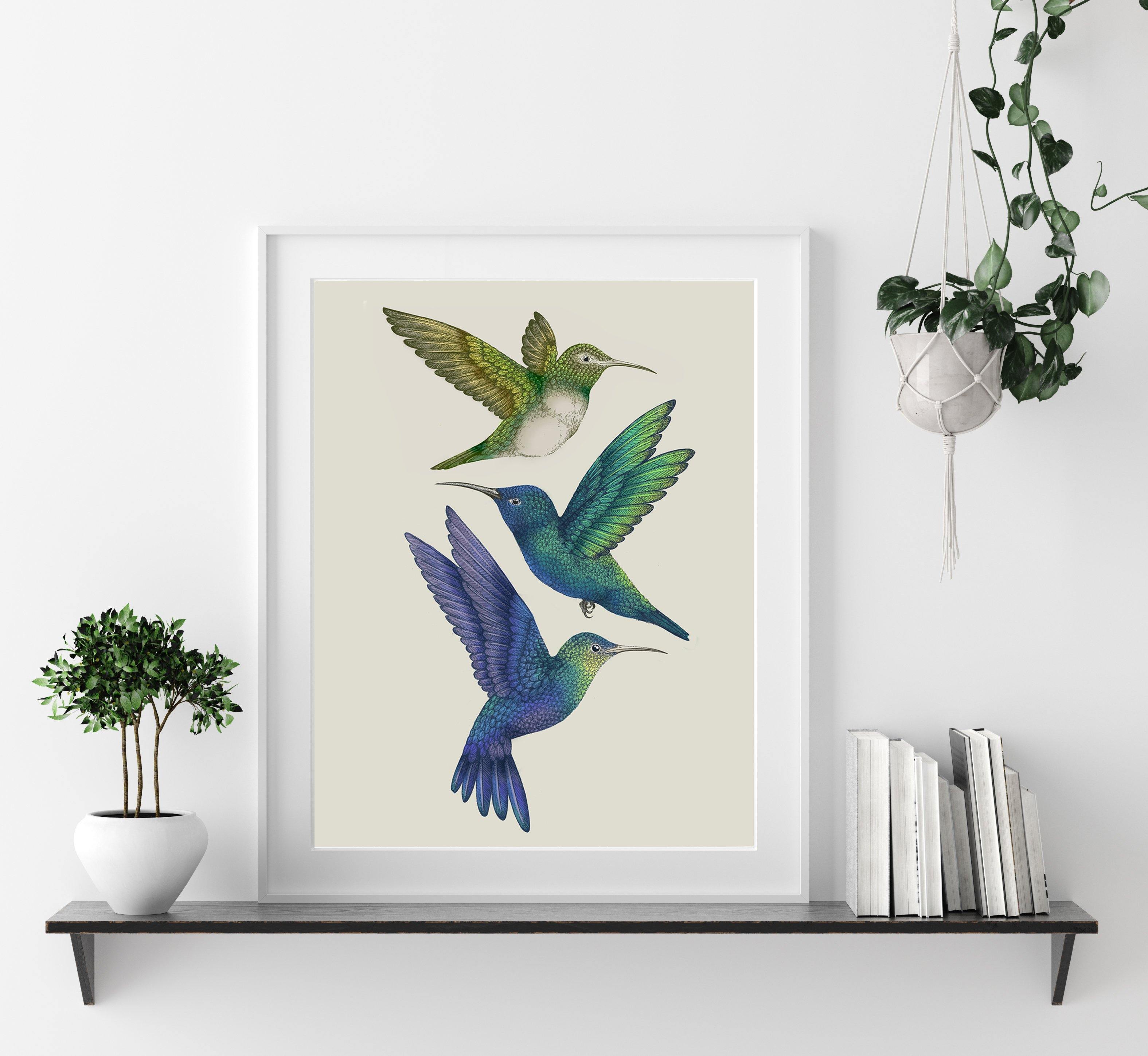 'Antique Hummingbirds II' Fine Art Print - Emily Carter London