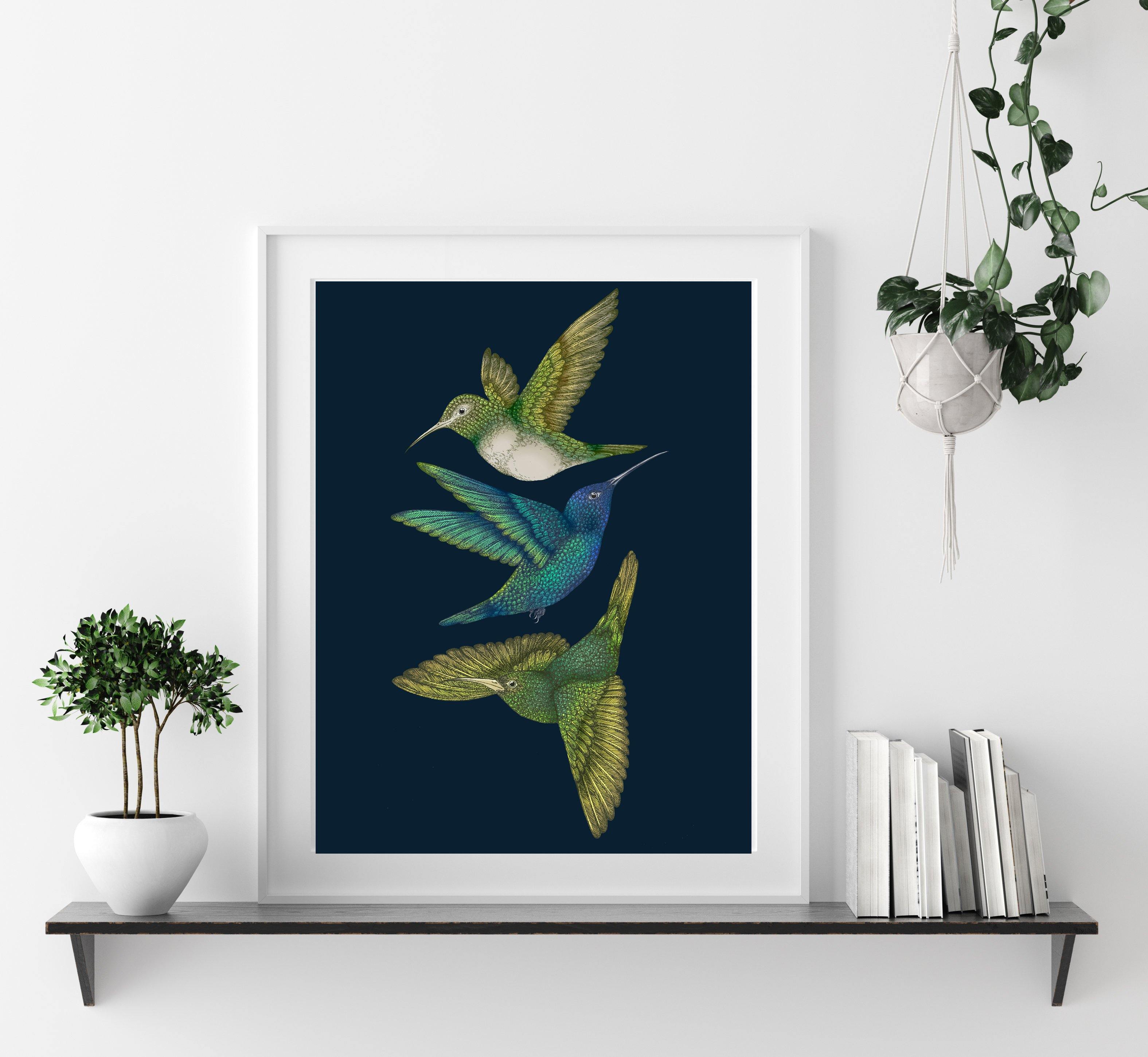 'Antique Hummingbirds III' Indigo Fine Art Print - Emily Carter London