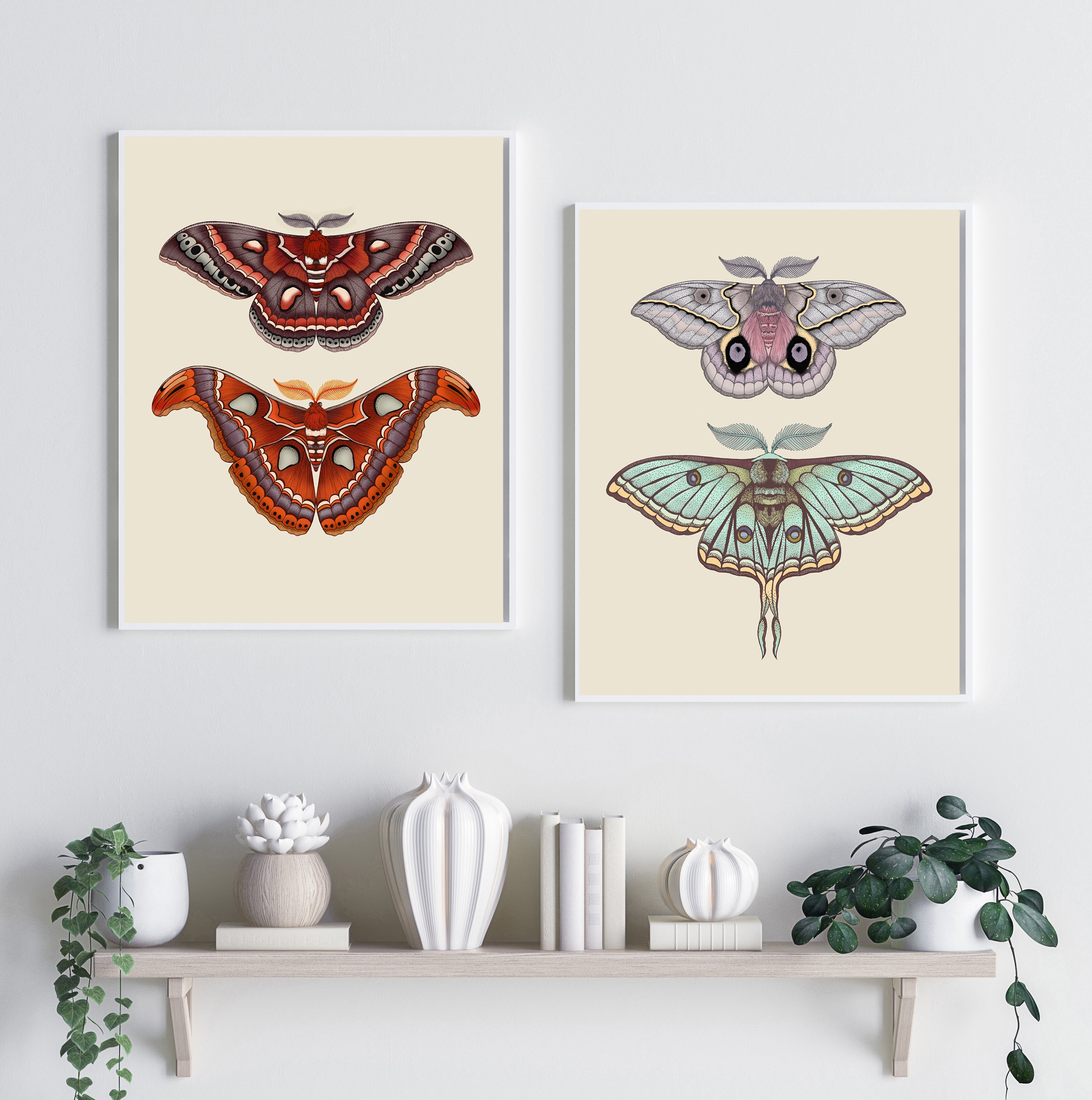 'Antique Luna & Automeris Frankae Moths' Fine Art Print