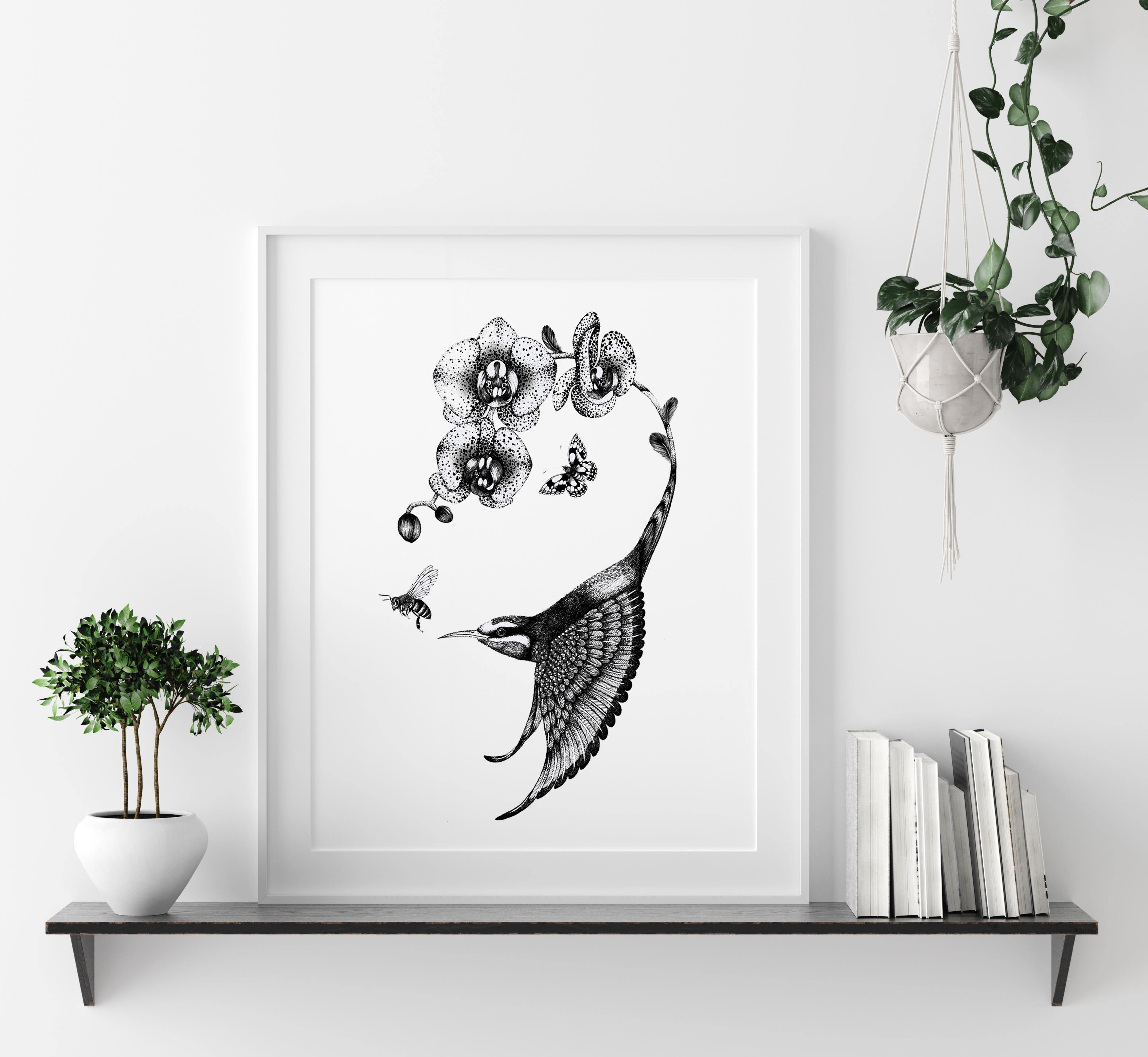 'Apiaster Orchidae' Fine Art Print - Emily Carter London