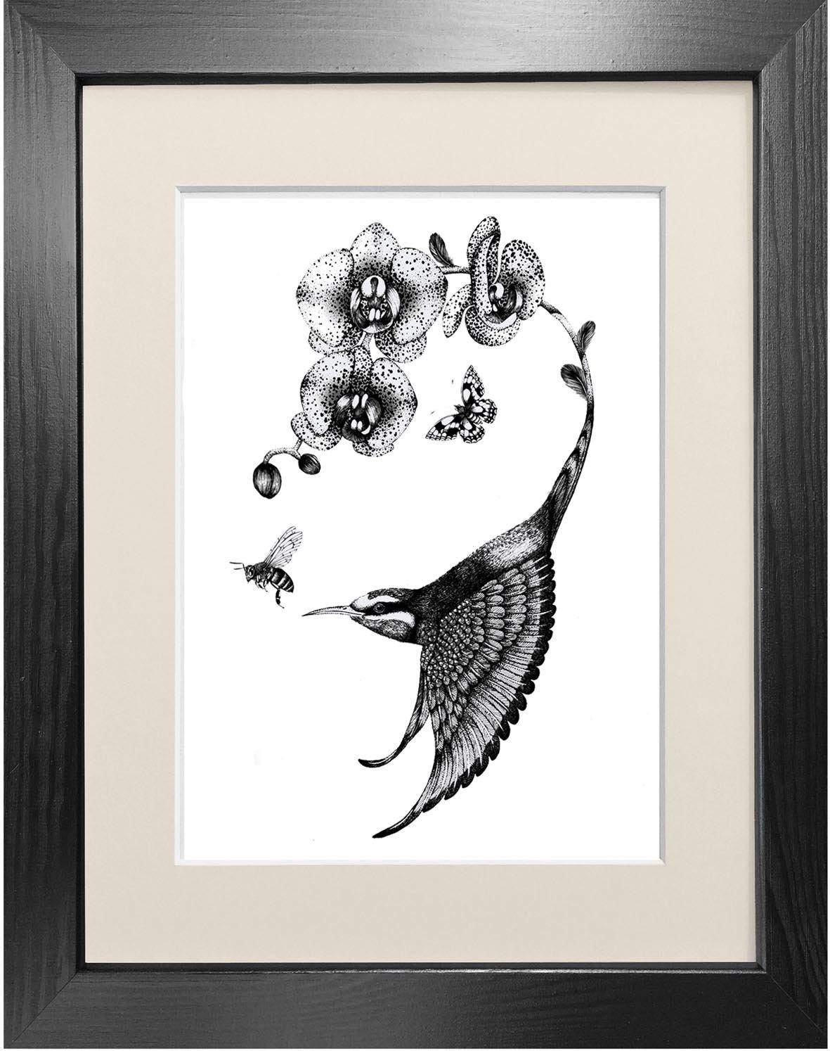 'Apiaster Orchidae' Fine Art Print - Emily Carter London
