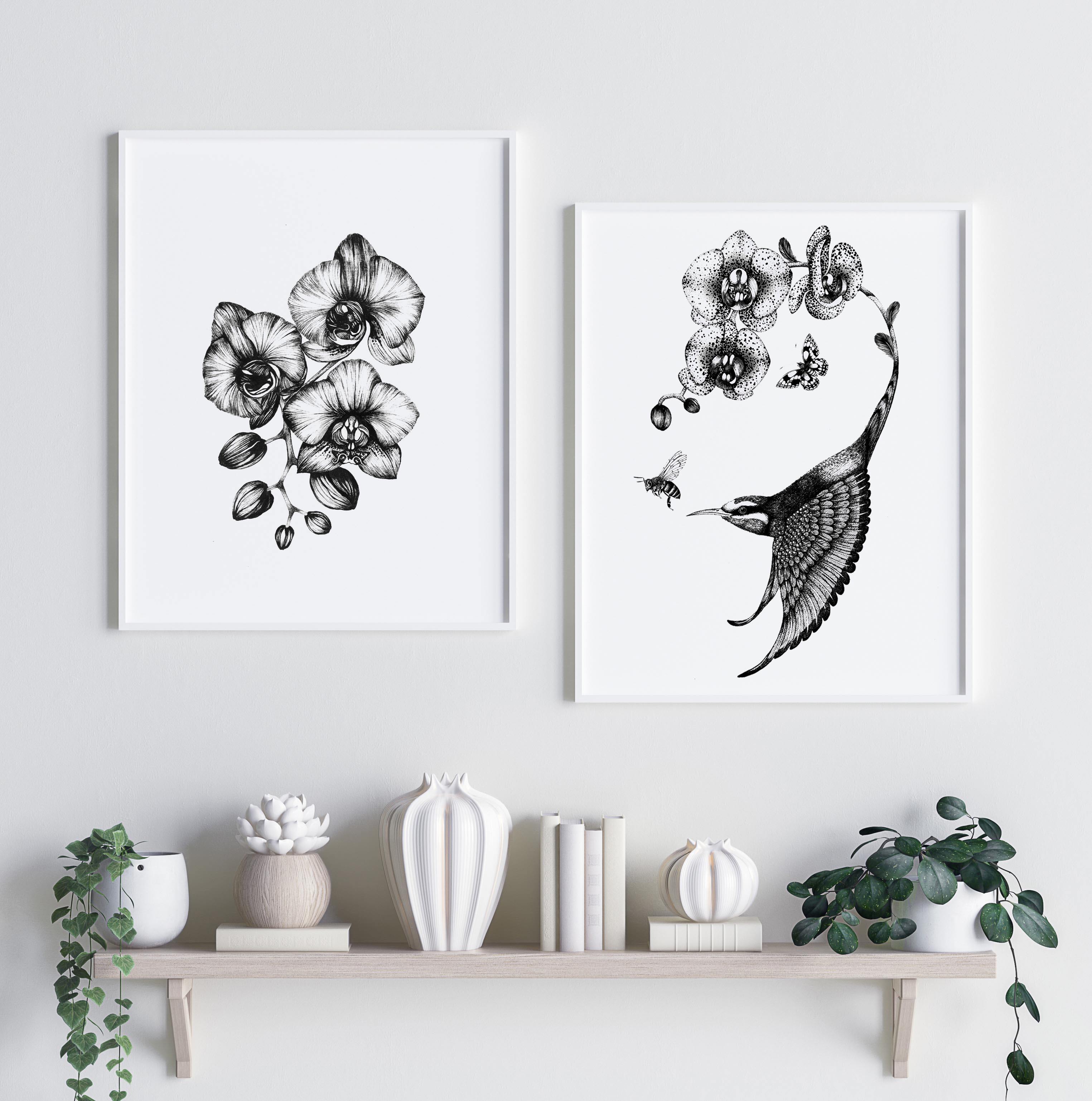 'Apiaster Orchidae' Fine Art Print - Emily Carter London