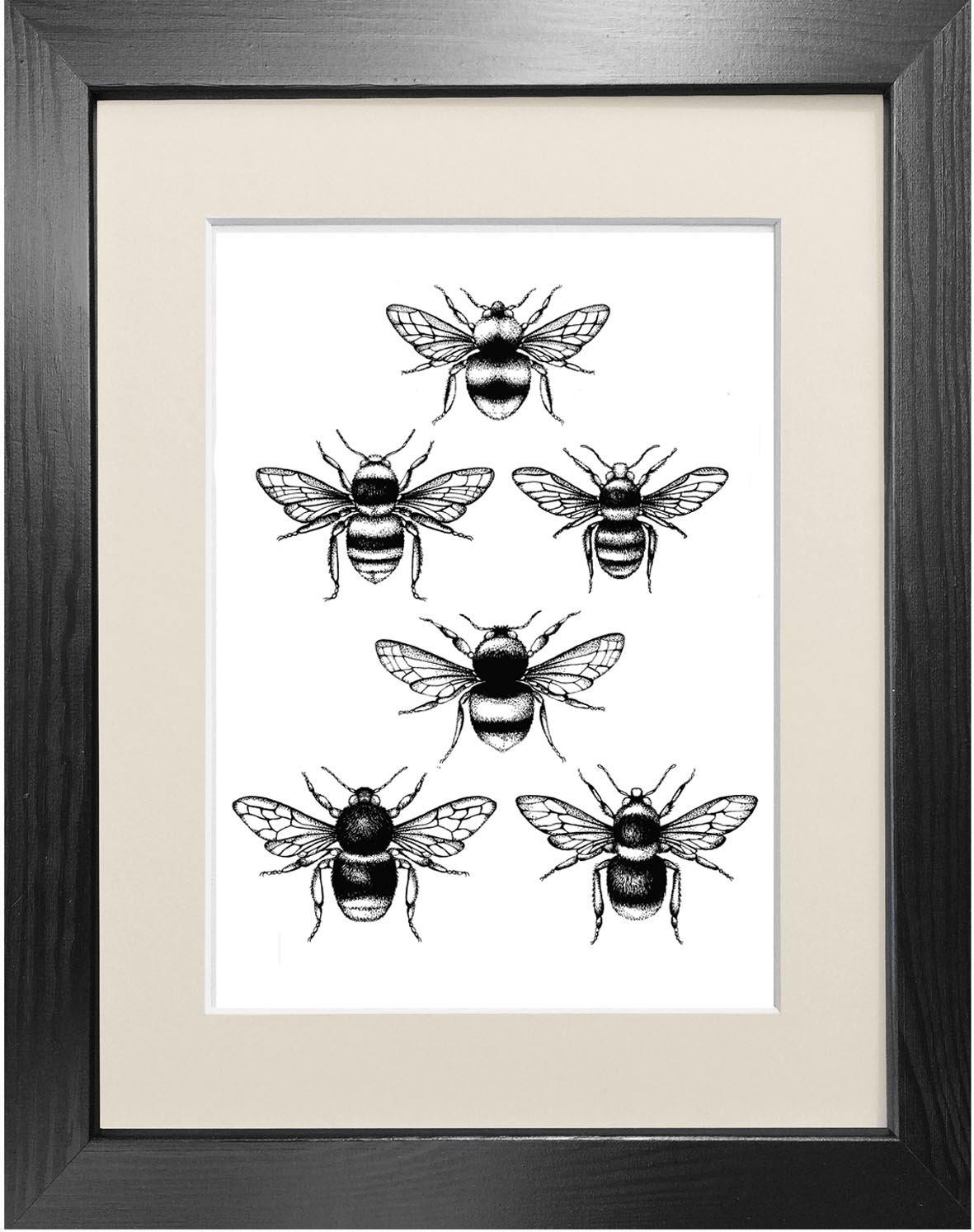 'British Bees' Fine Art Print - Emily Carter London