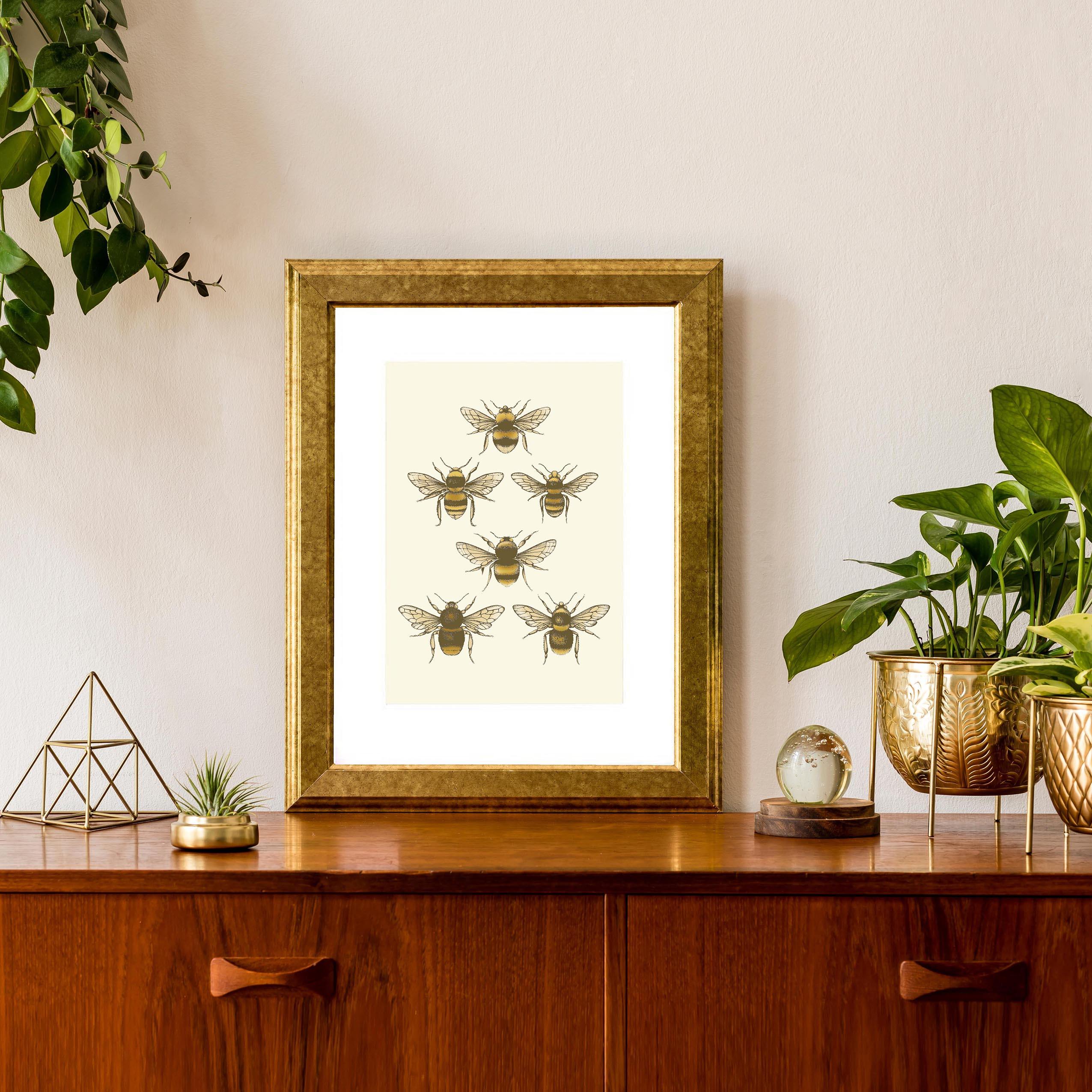 'Antique British Bees' Fine Art Print - Emily Carter London