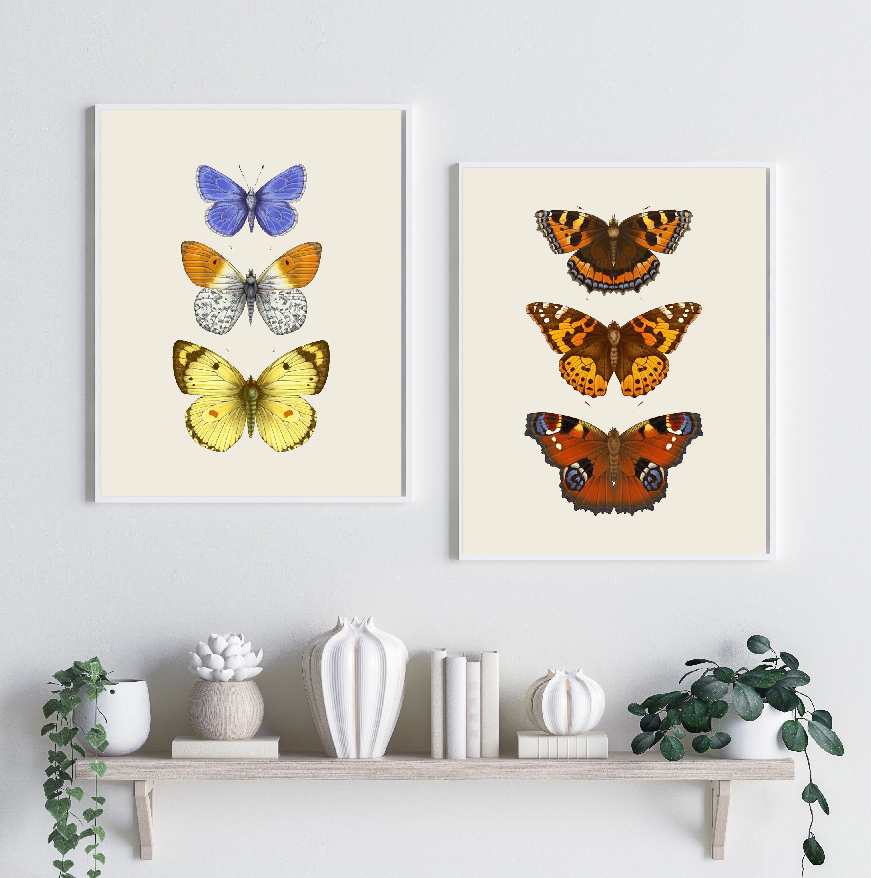 'Antique British Butterflies II' Fine Art Print