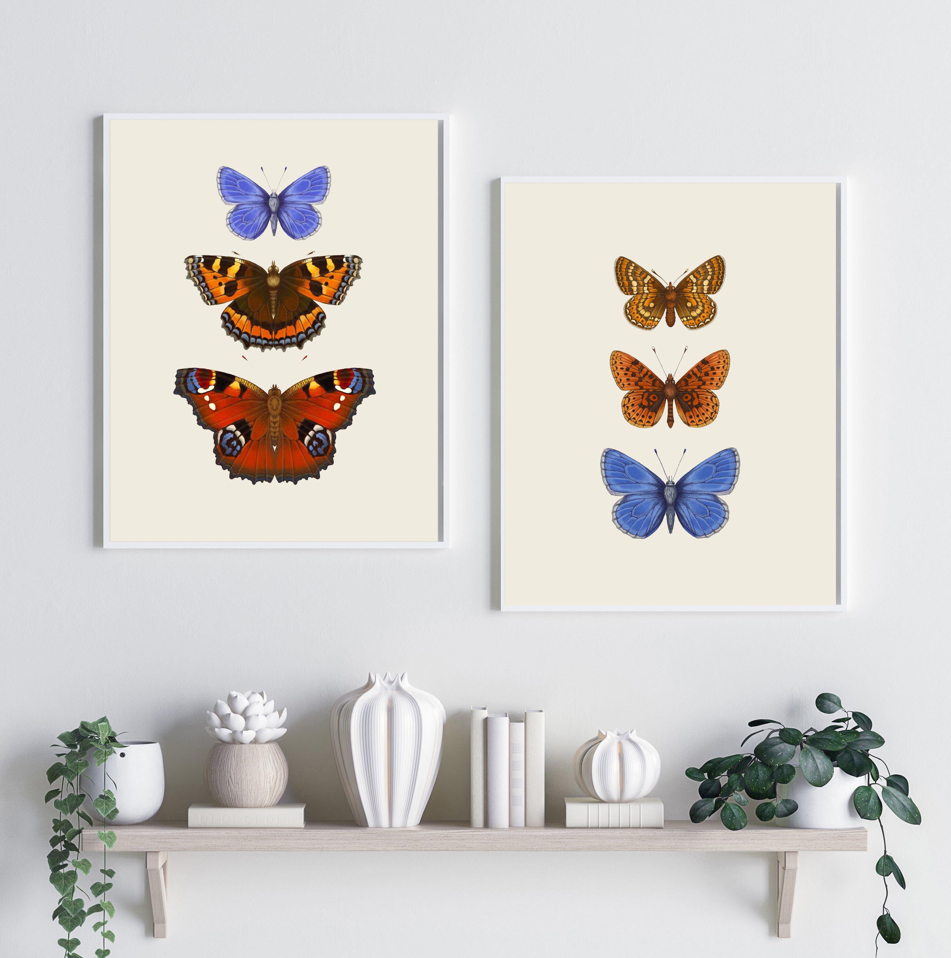 'Antique British Butterflies V' Fine Art Print